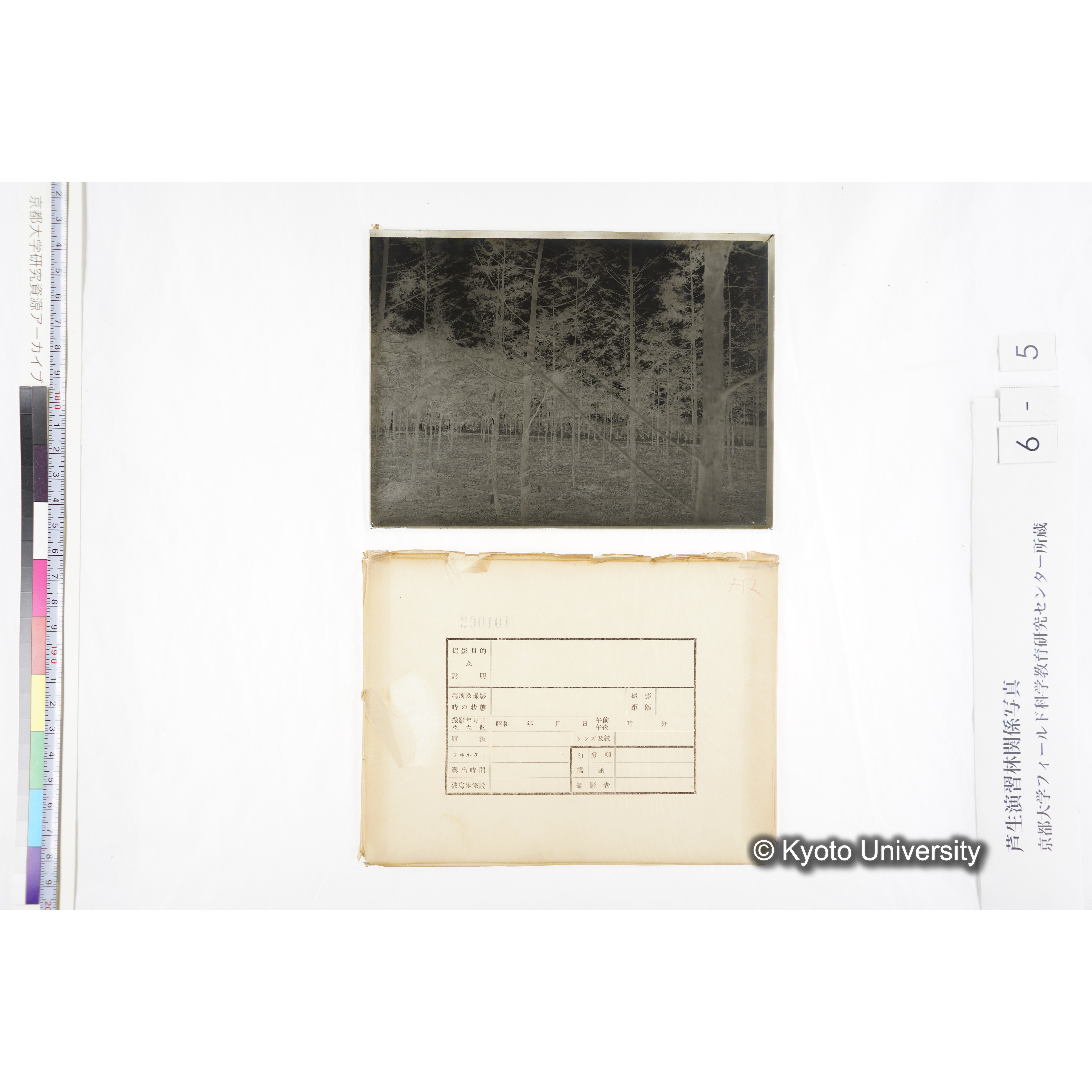 （ガラス乾板芦生柴田4-005） (4)