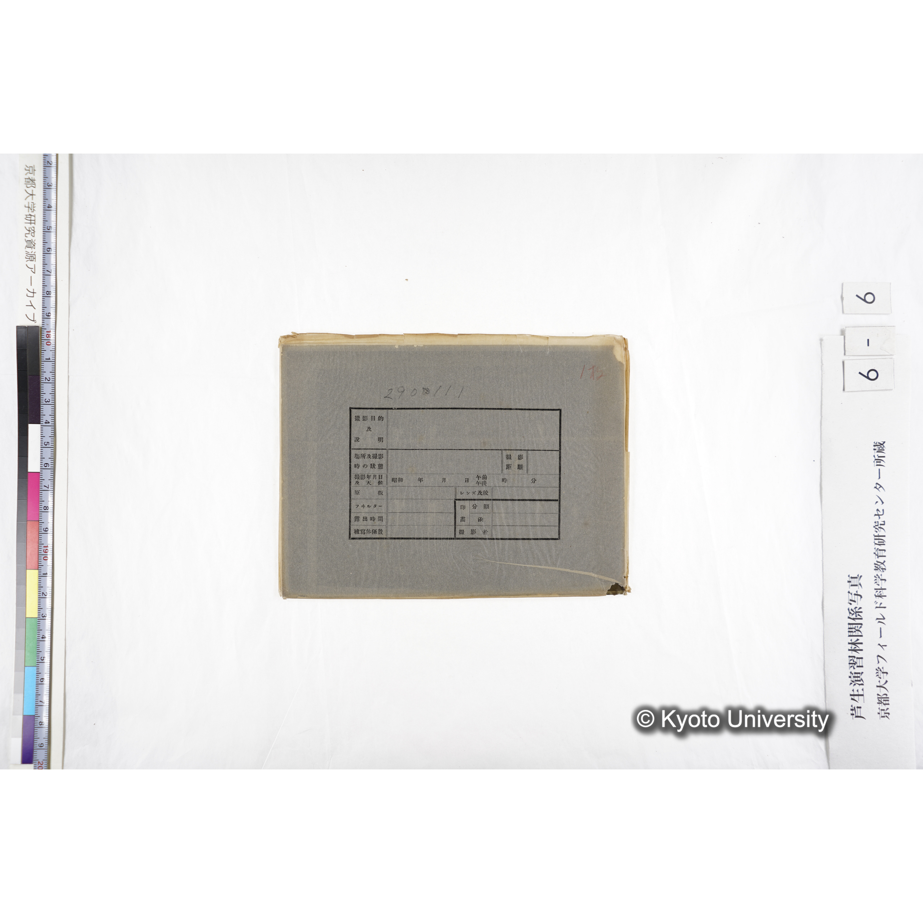 〔発芽と根が２列あり、上に「Ｅ列」、下の列に「Ｆ列」と書かれた札が写しこんである〕 (4)