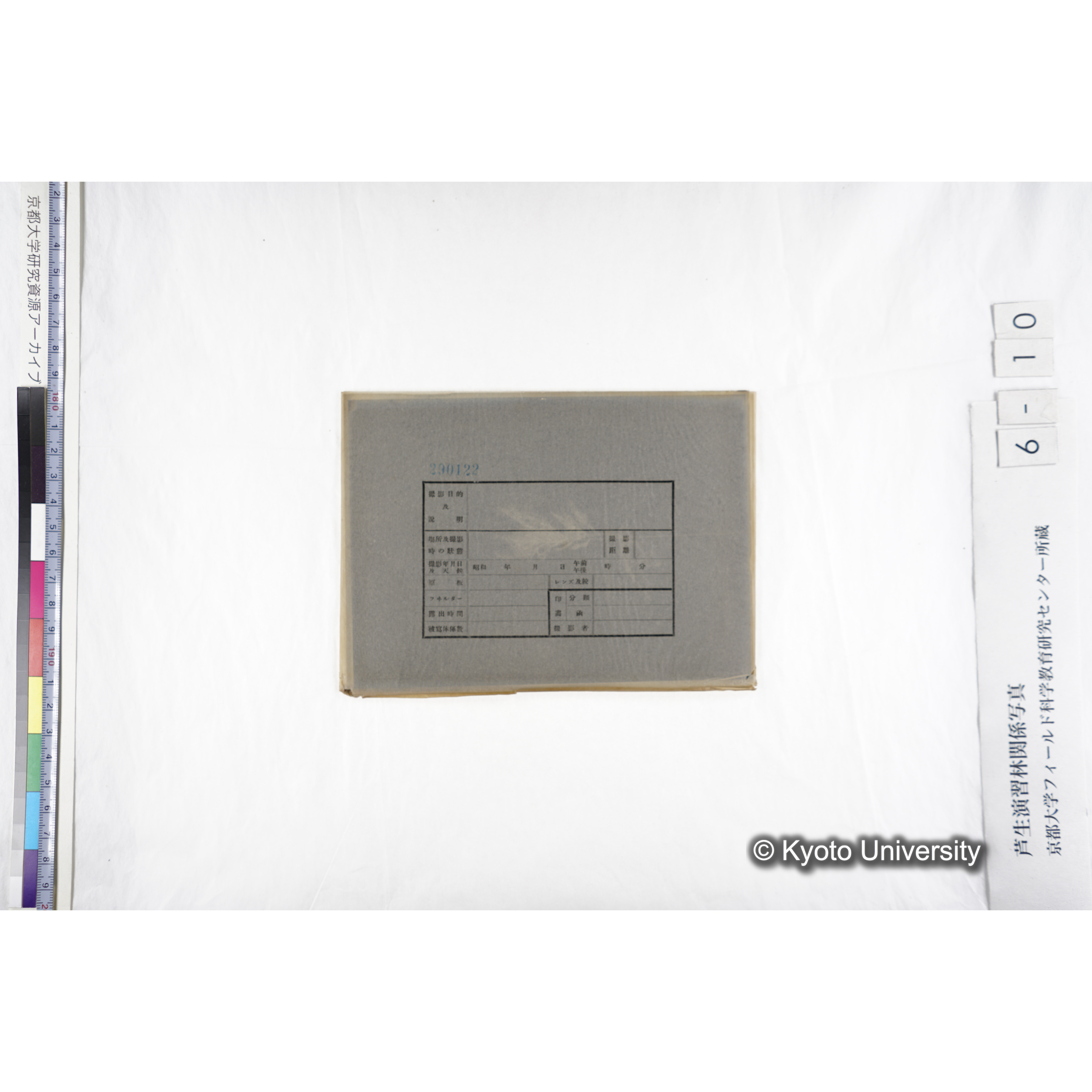 （ガラス乾板芦生柴田4-010）〔発芽と根〕 (4)