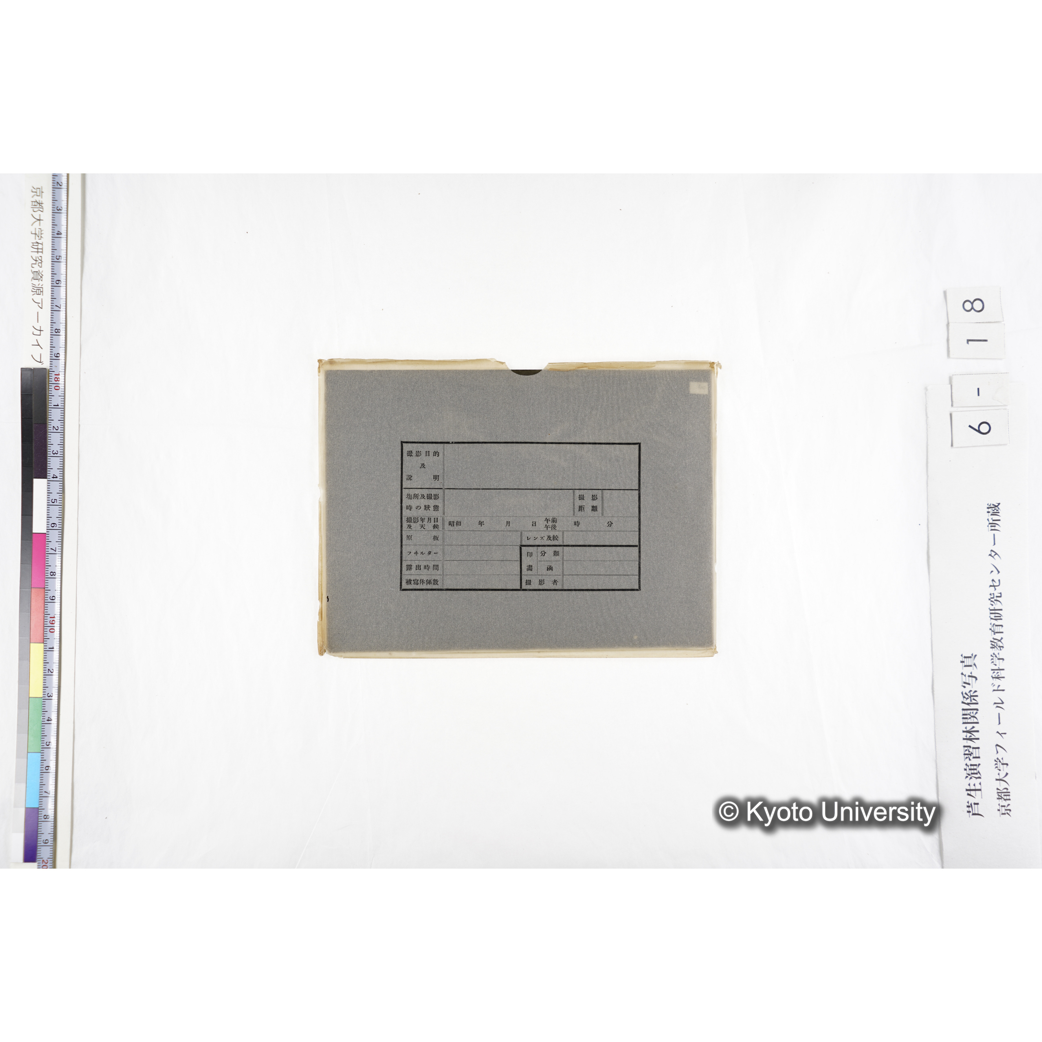 〔発芽と根４つの比較写真　左肩に「3」と書かれた紙で貼り付けられている〕 (3)