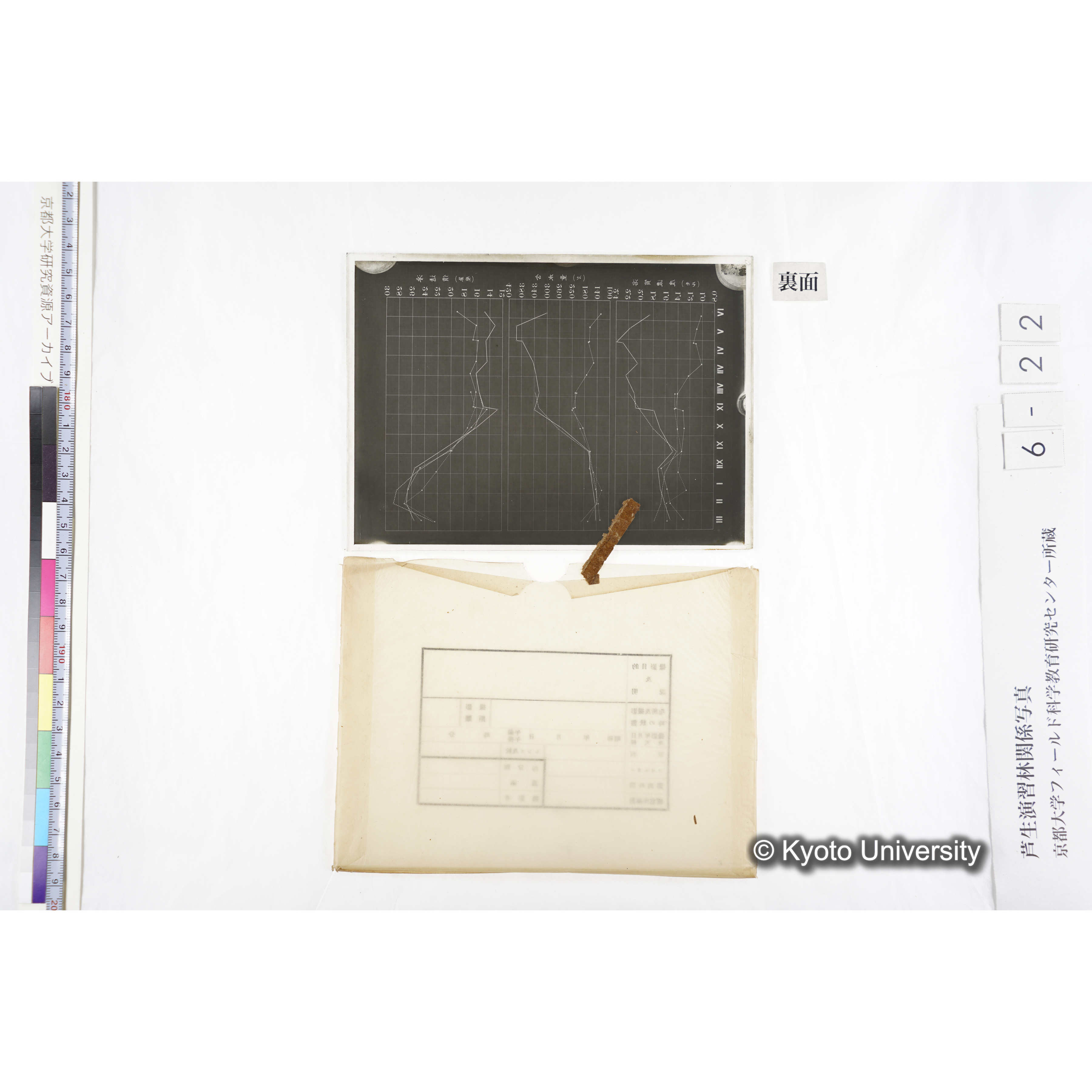 〔折れ線グラフ　横軸IVからXII、IからIII（月を示していると推察される）、縦軸は、「滲透値（気圧）」「含水量（％）」「溶質濃度（モル）」の３種類〕 (2)