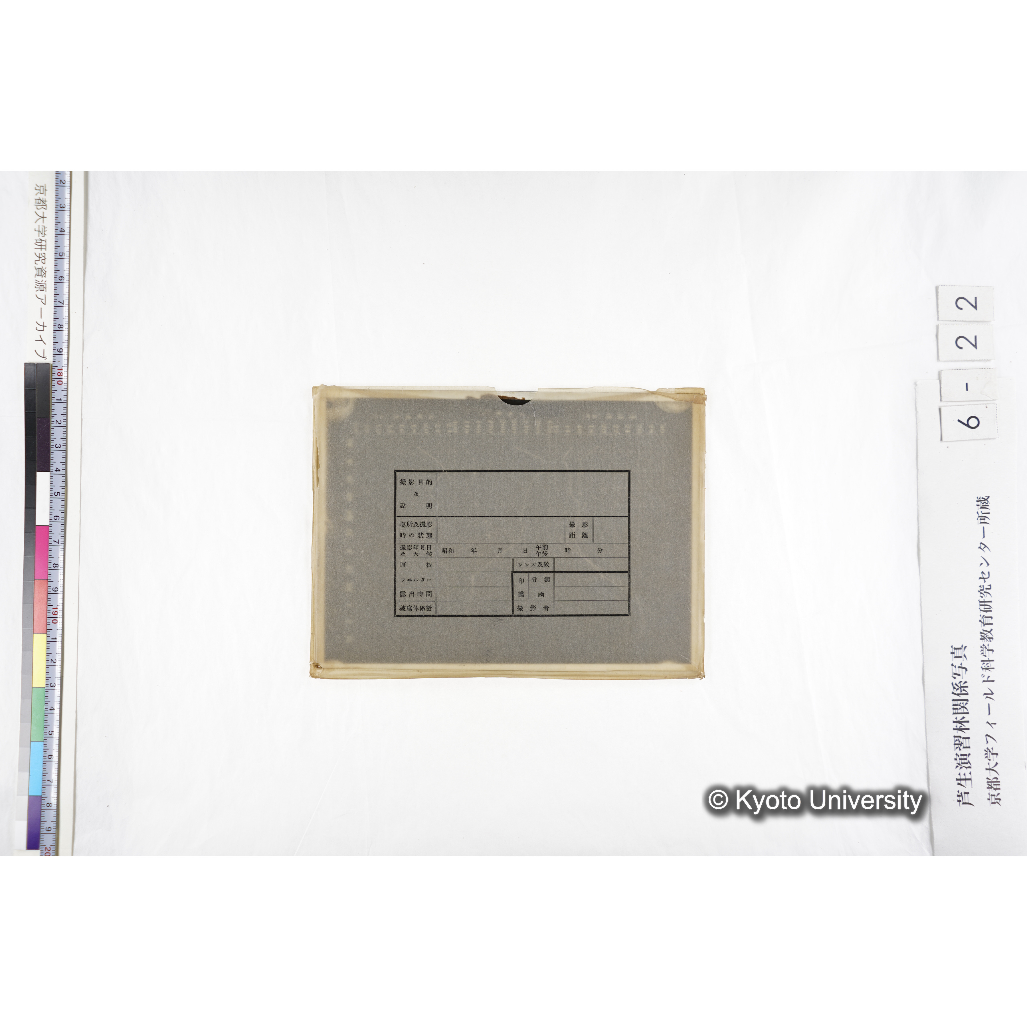 〔折れ線グラフ　横軸IVからXII、IからIII（月を示していると推察される）、縦軸は、「滲透値（気圧）」「含水量（％）」「溶質濃度（モル）」の３種類〕 (4)