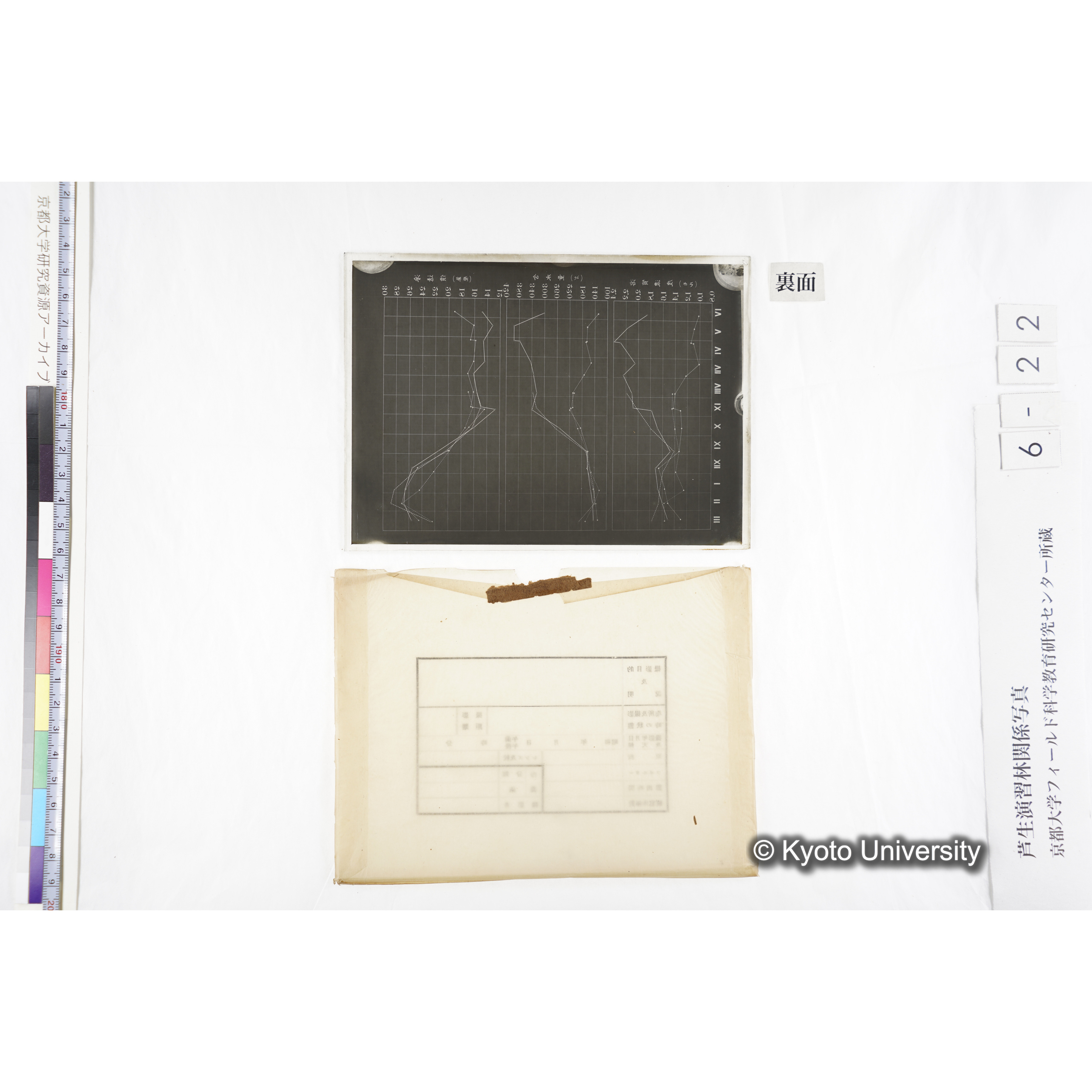 〔折れ線グラフ　横軸IVからXII、IからIII（月を示していると推察される）、縦軸は、「滲透値（気圧）」「含水量（％）」「溶質濃度（モル）」の３種類〕 (5)