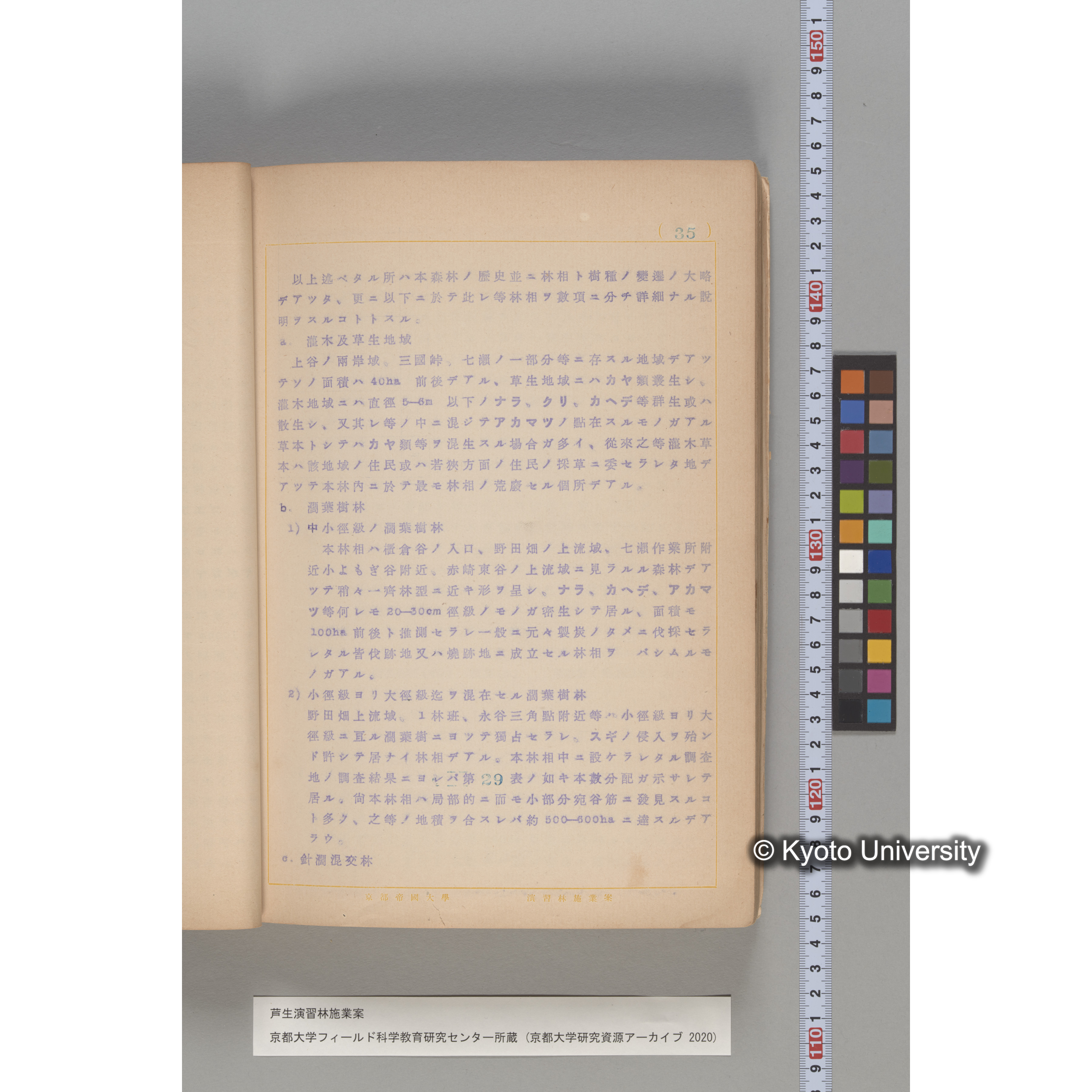 芦生演習林 施業案 実行期間 自昭和5年 至昭和14年. (30)