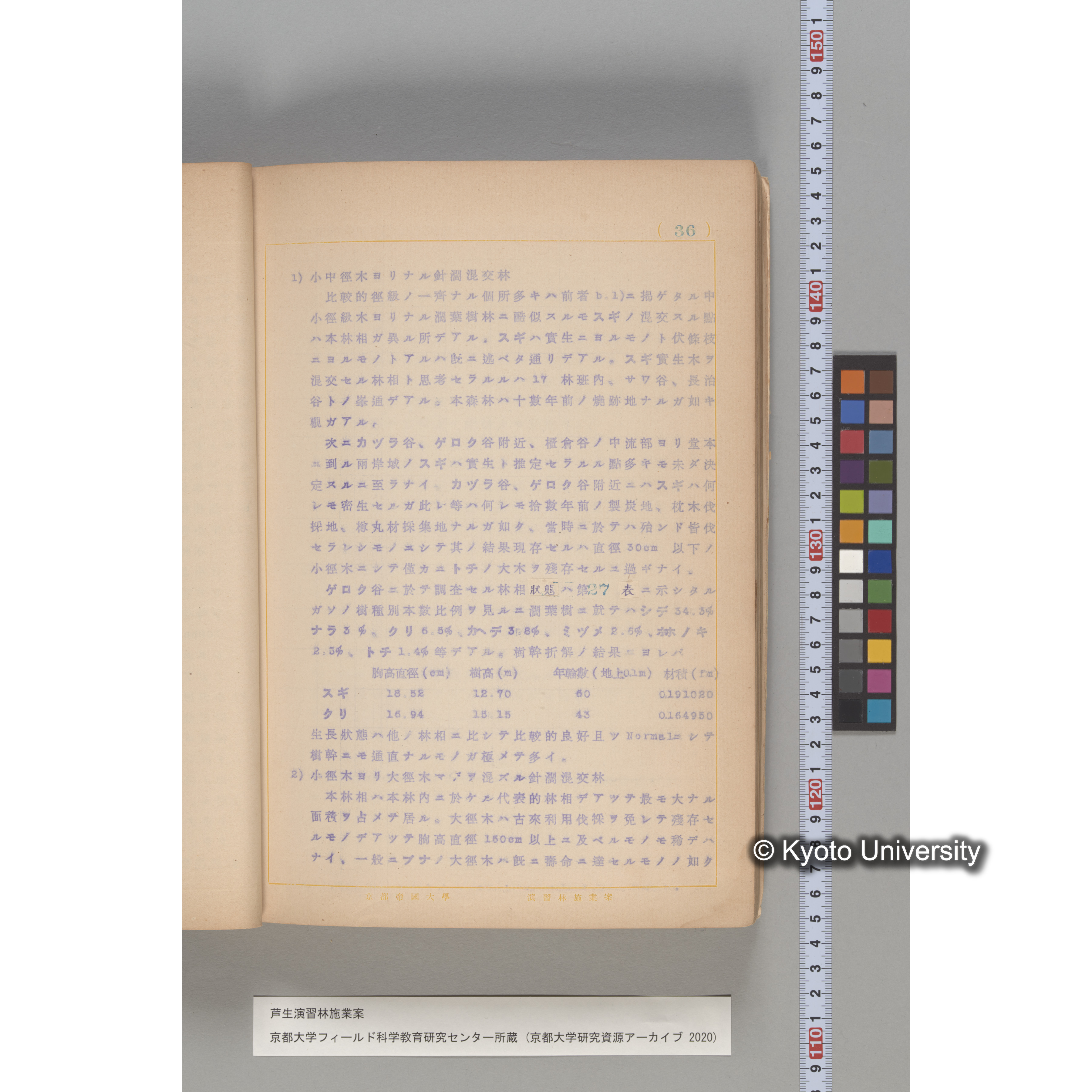 芦生演習林 施業案 実行期間 自昭和5年 至昭和14年. (31)