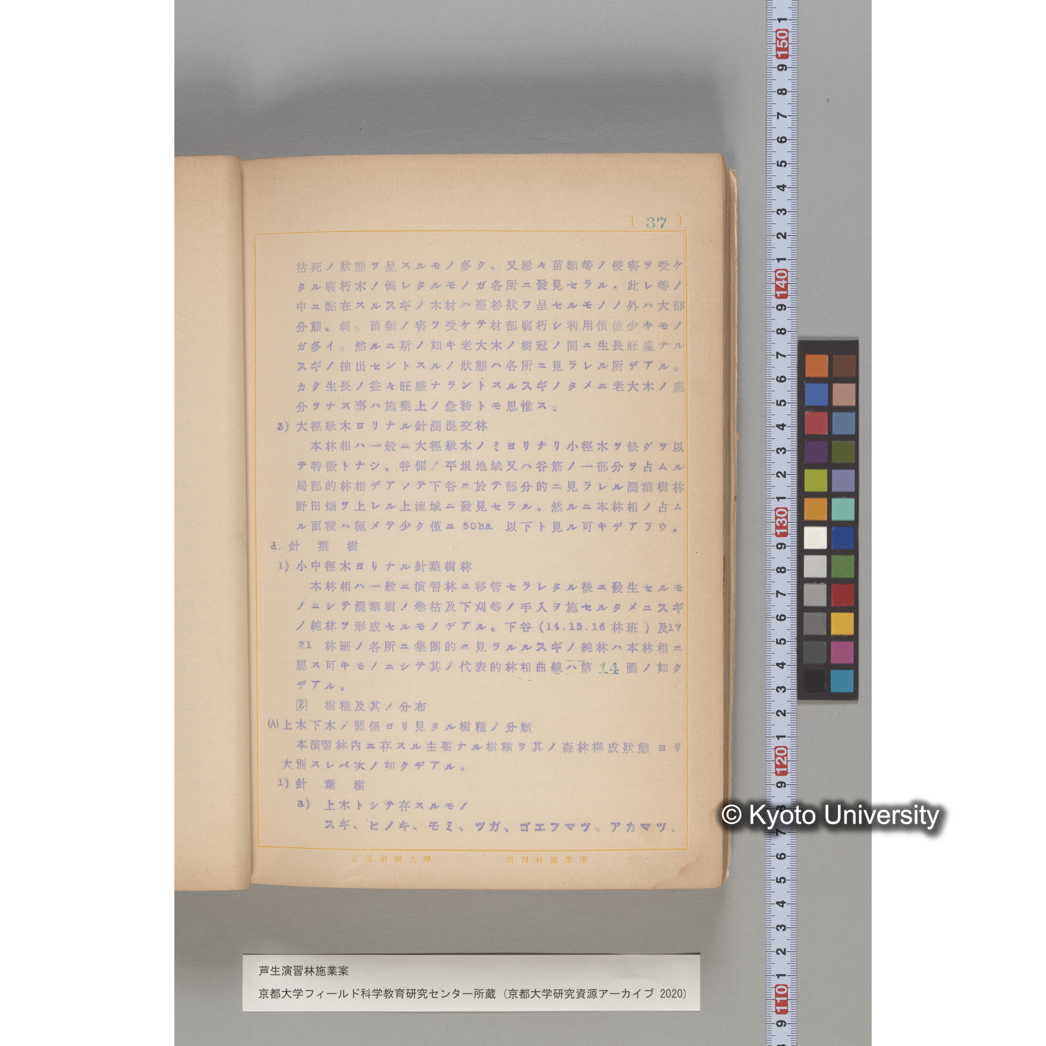 芦生演習林 施業案 実行期間 自昭和5年 至昭和14年. (32)