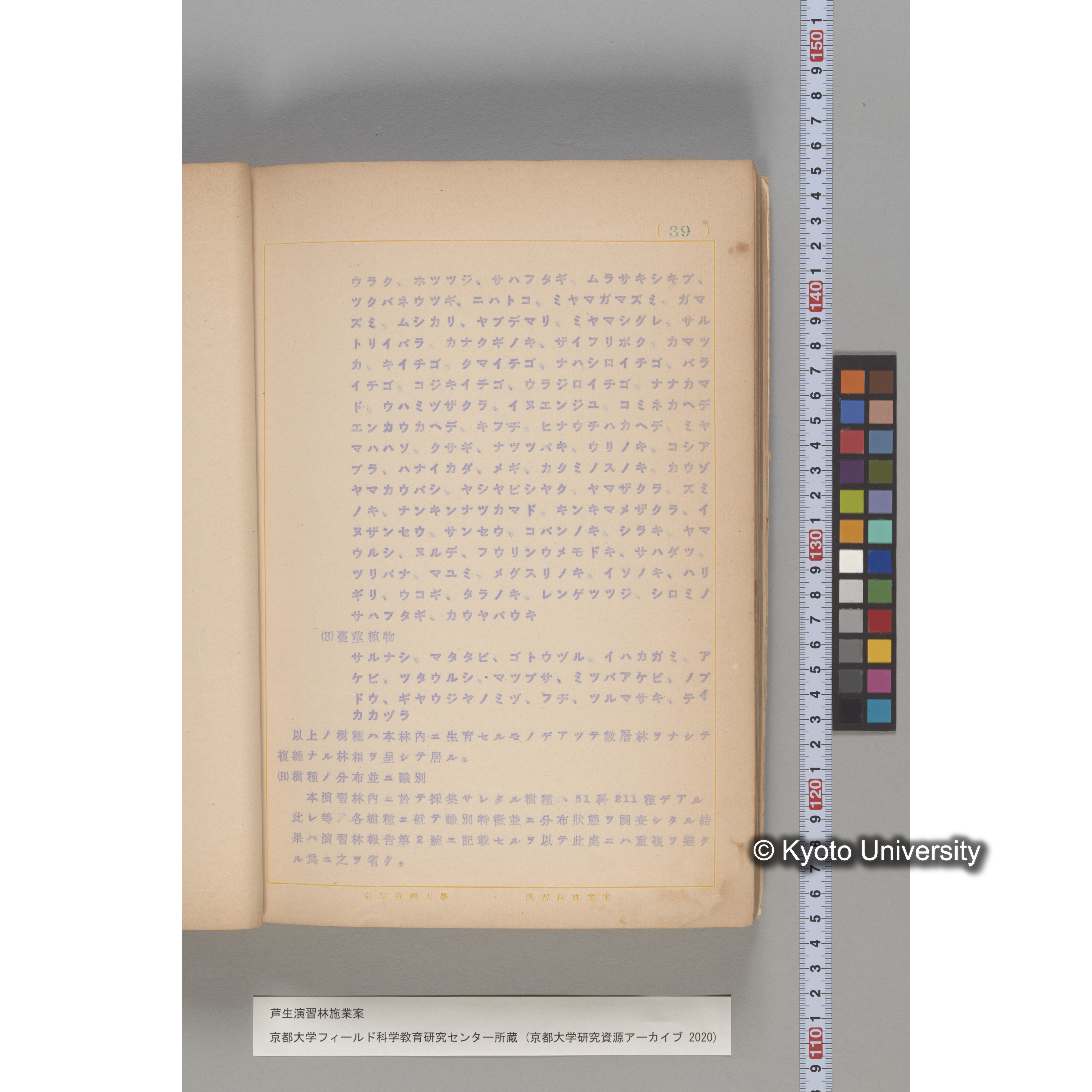 芦生演習林 施業案 実行期間 自昭和5年 至昭和14年. (33)