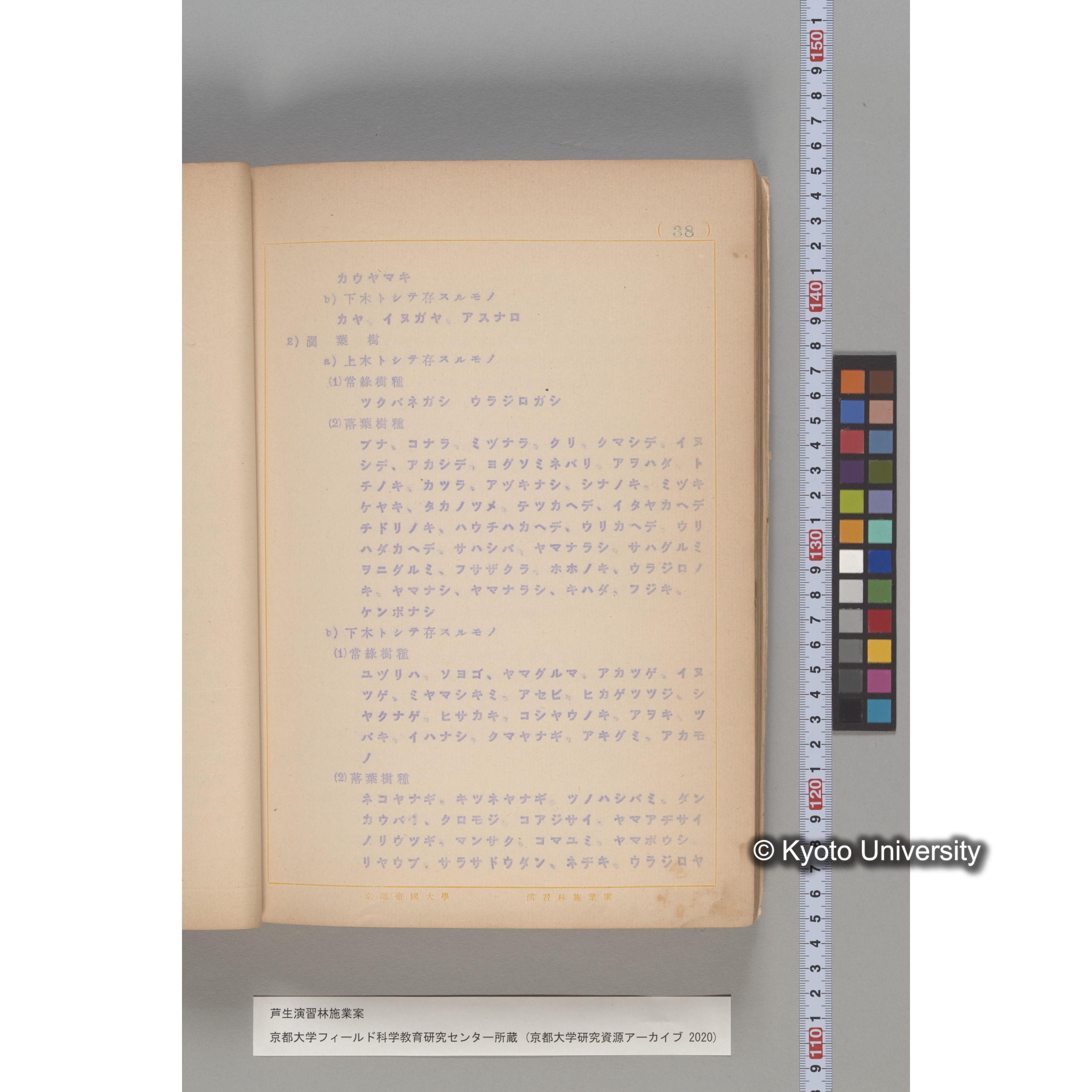 芦生演習林 施業案 実行期間 自昭和5年 至昭和14年. (34)