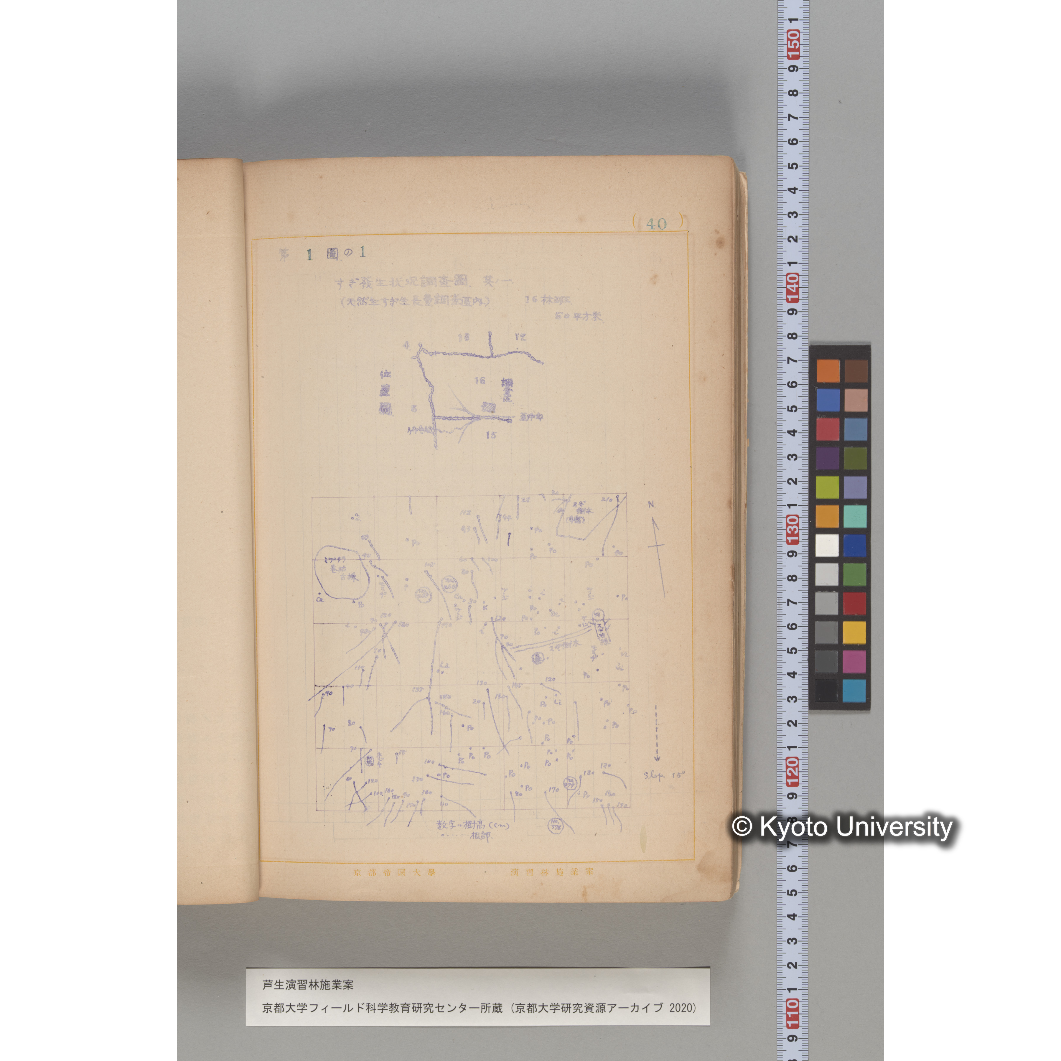 芦生演習林 施業案 実行期間 自昭和5年 至昭和14年. (35)