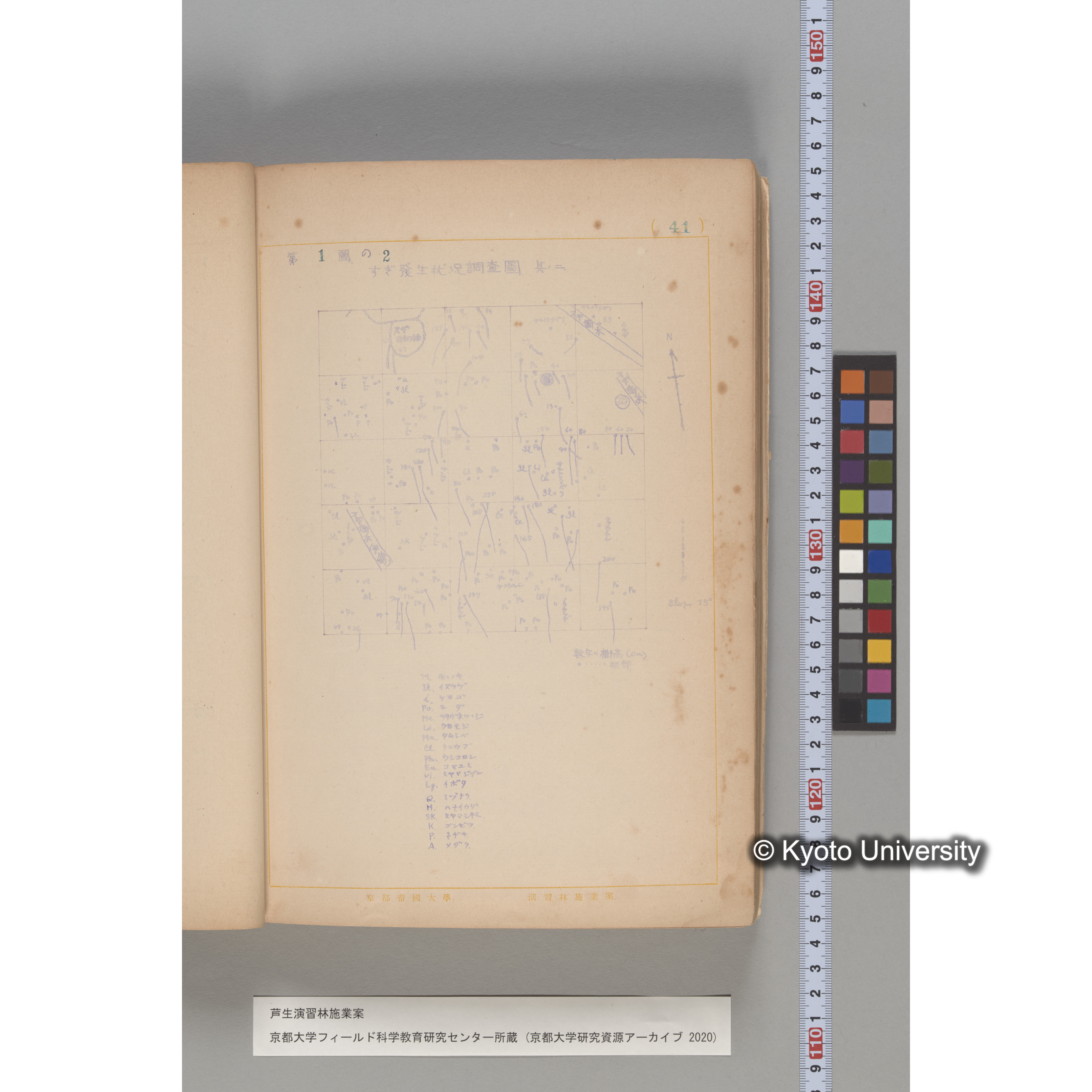 芦生演習林 施業案 実行期間 自昭和5年 至昭和14年. (36)