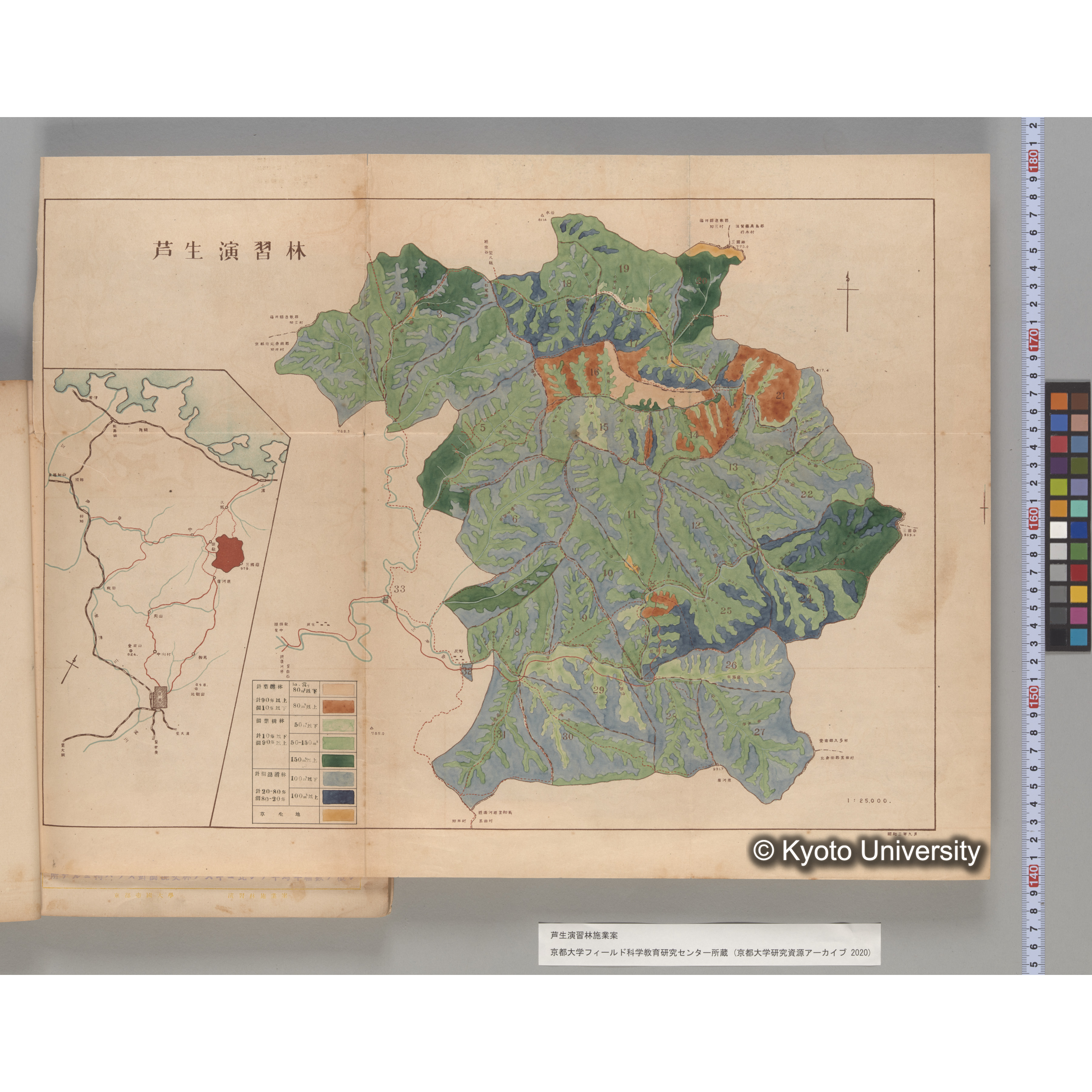 芦生演習林 施業案 実行期間 自昭和5年 至昭和14年. (38)