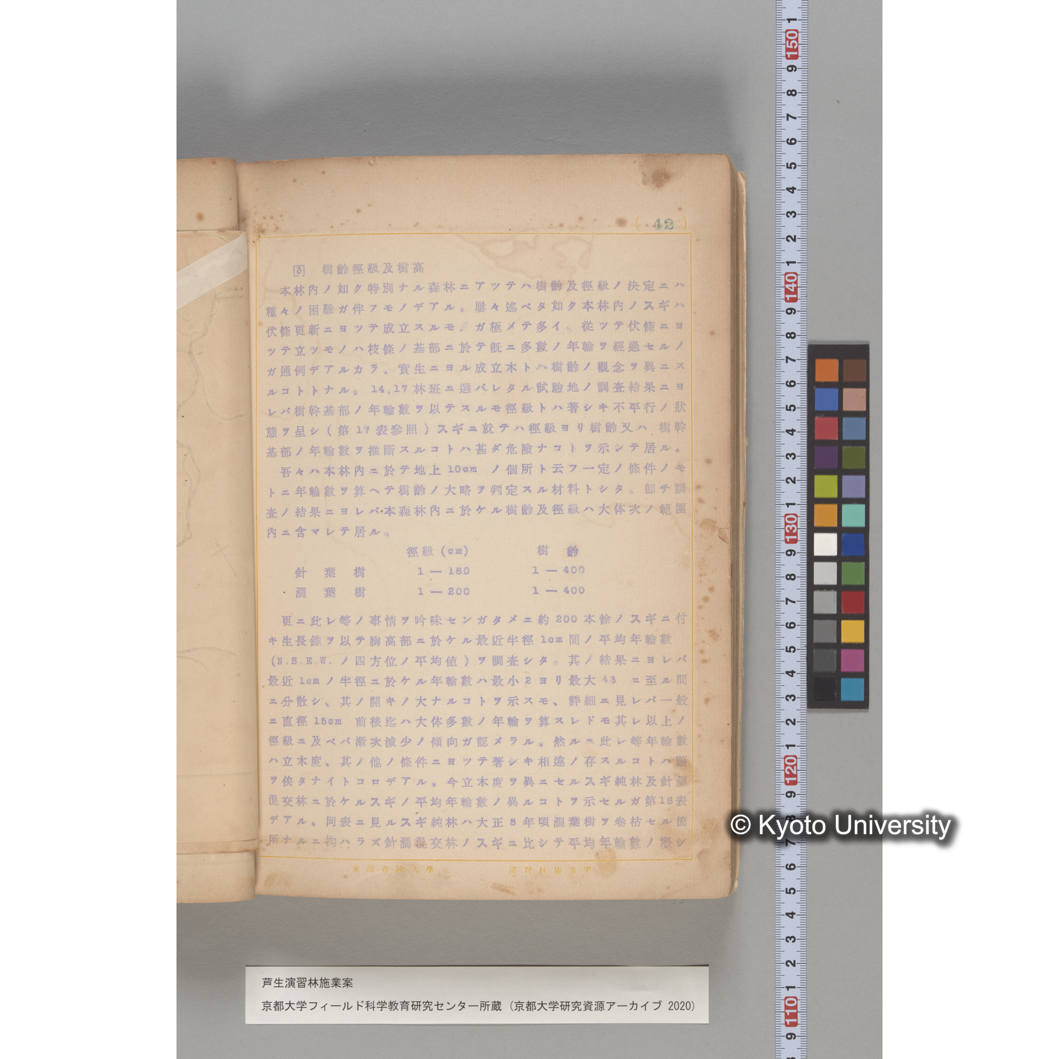 芦生演習林 施業案 実行期間 自昭和5年 至昭和14年. (40)