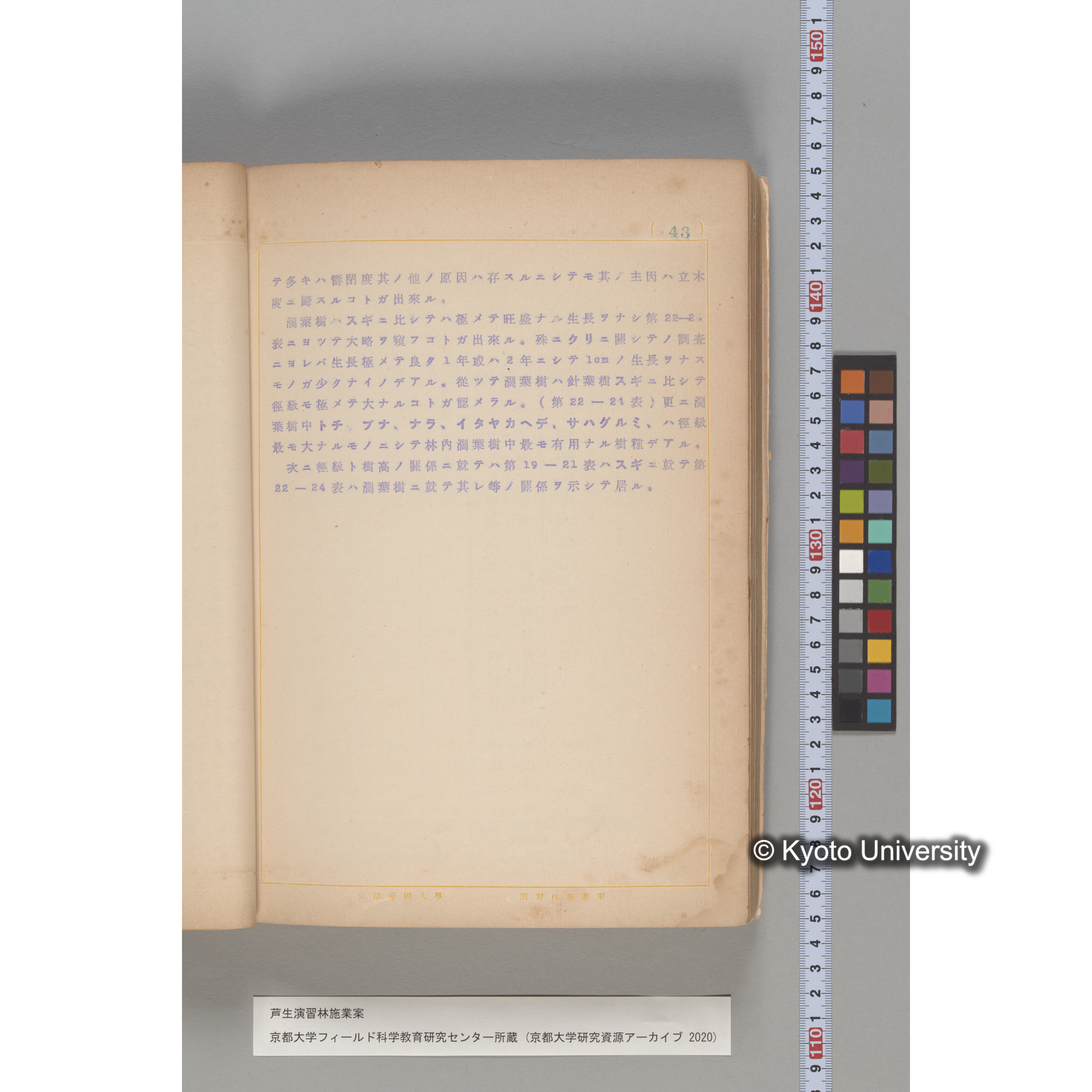 芦生演習林 施業案 実行期間 自昭和5年 至昭和14年. (41)