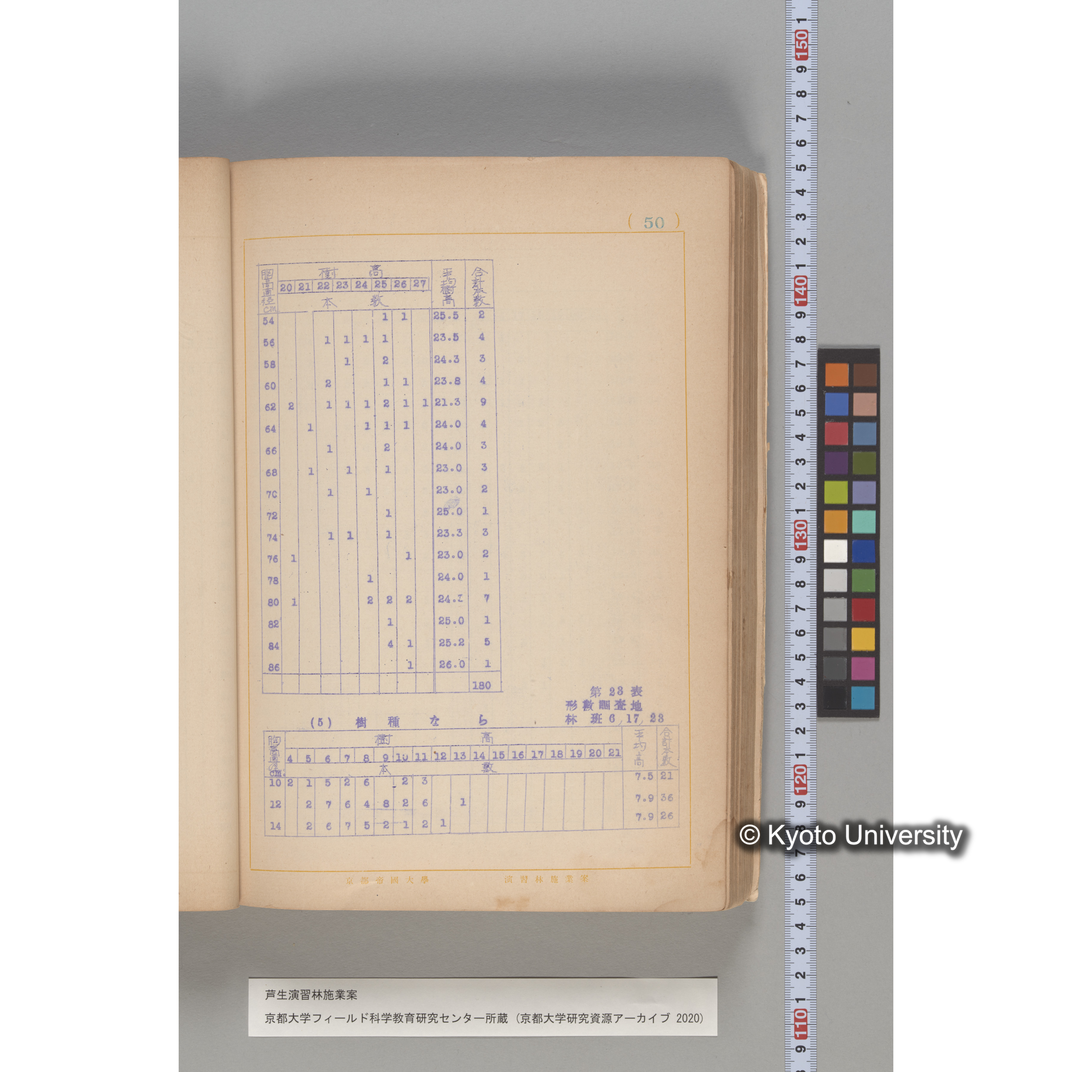 芦生演習林 施業案 実行期間 自昭和5年 至昭和14年. (49)