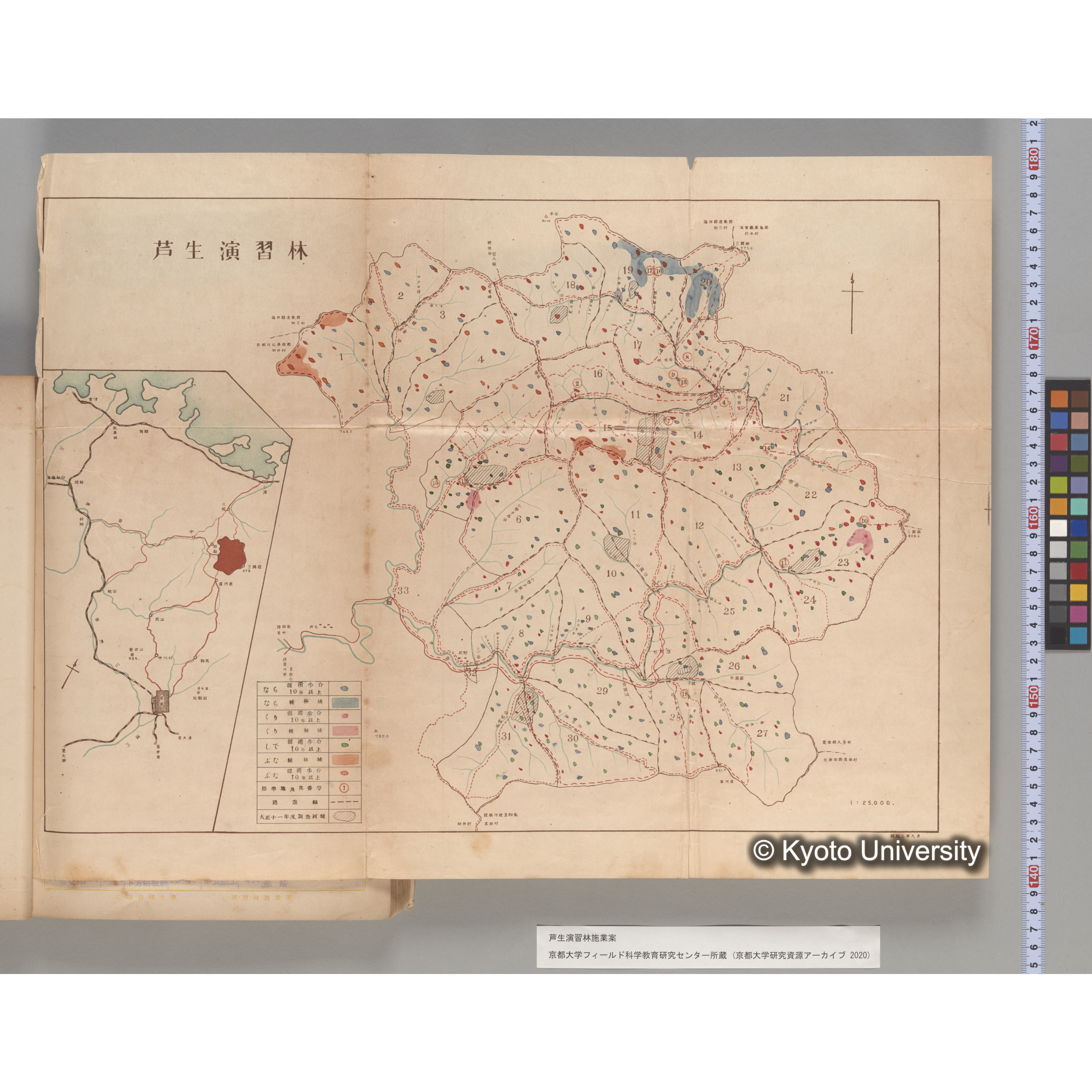 芦生演習林 施業案 実行期間 自昭和5年 至昭和14年. (55)