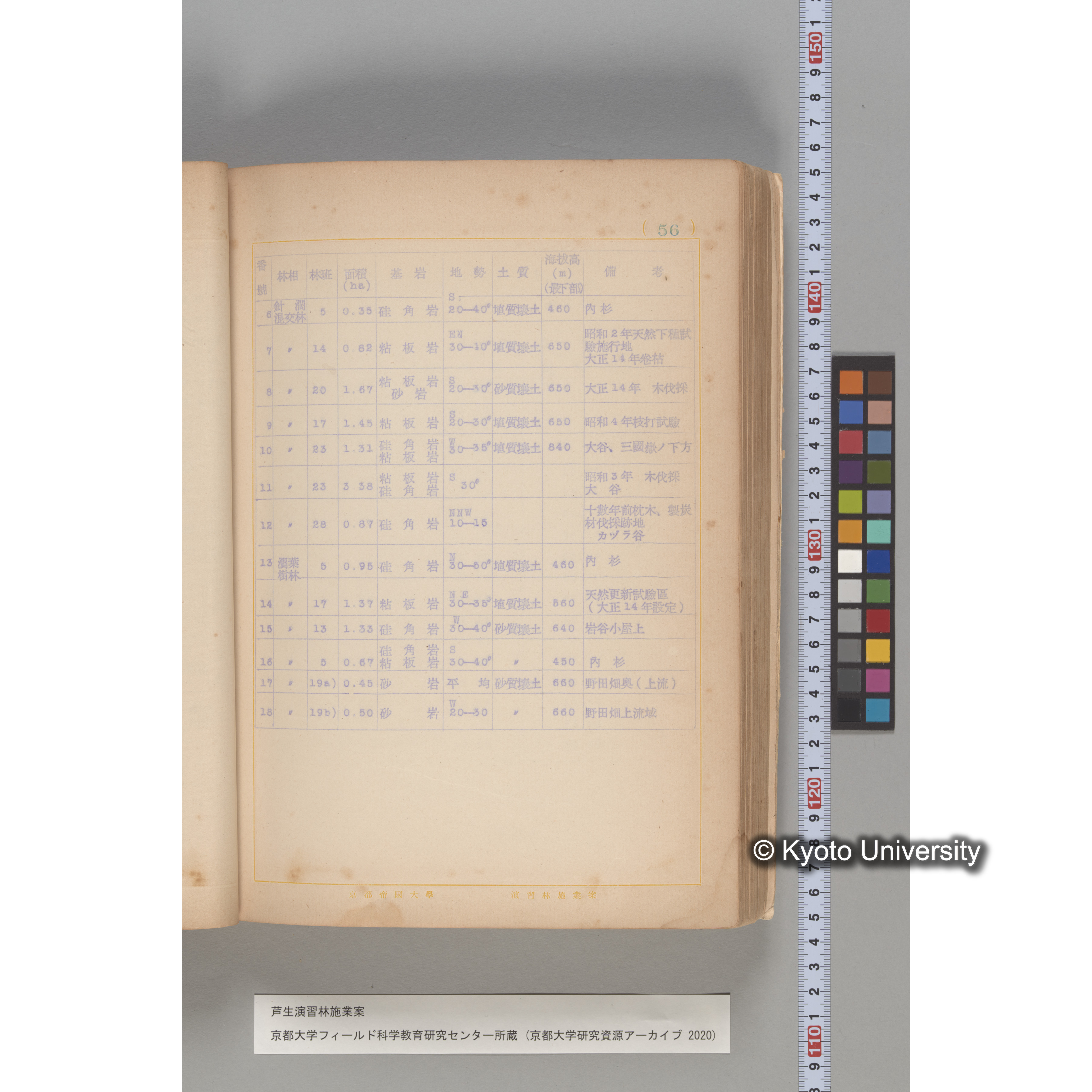 芦生演習林 施業案 実行期間 自昭和5年 至昭和14年. (56)