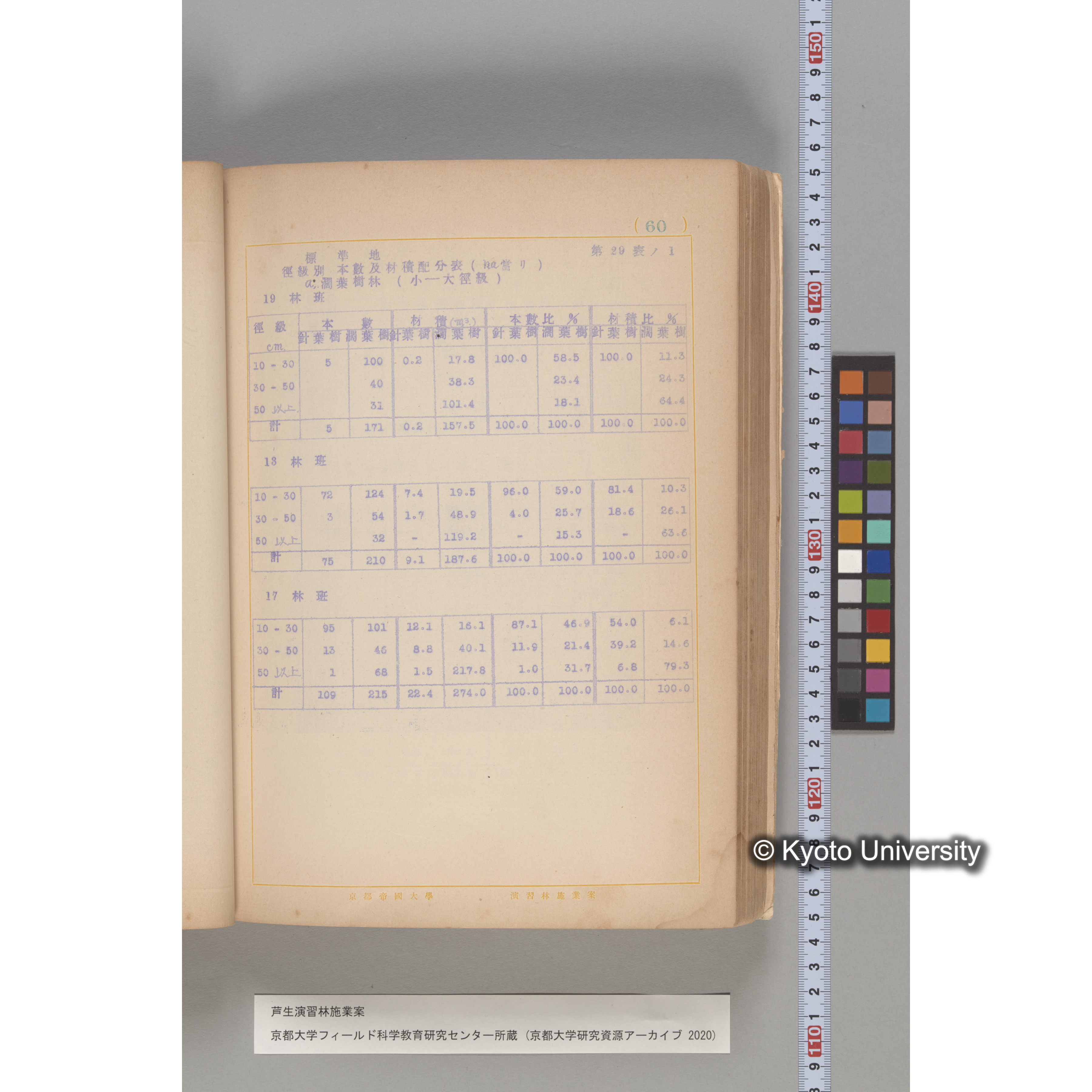 芦生演習林 施業案 実行期間 自昭和5年 至昭和14年. (60)