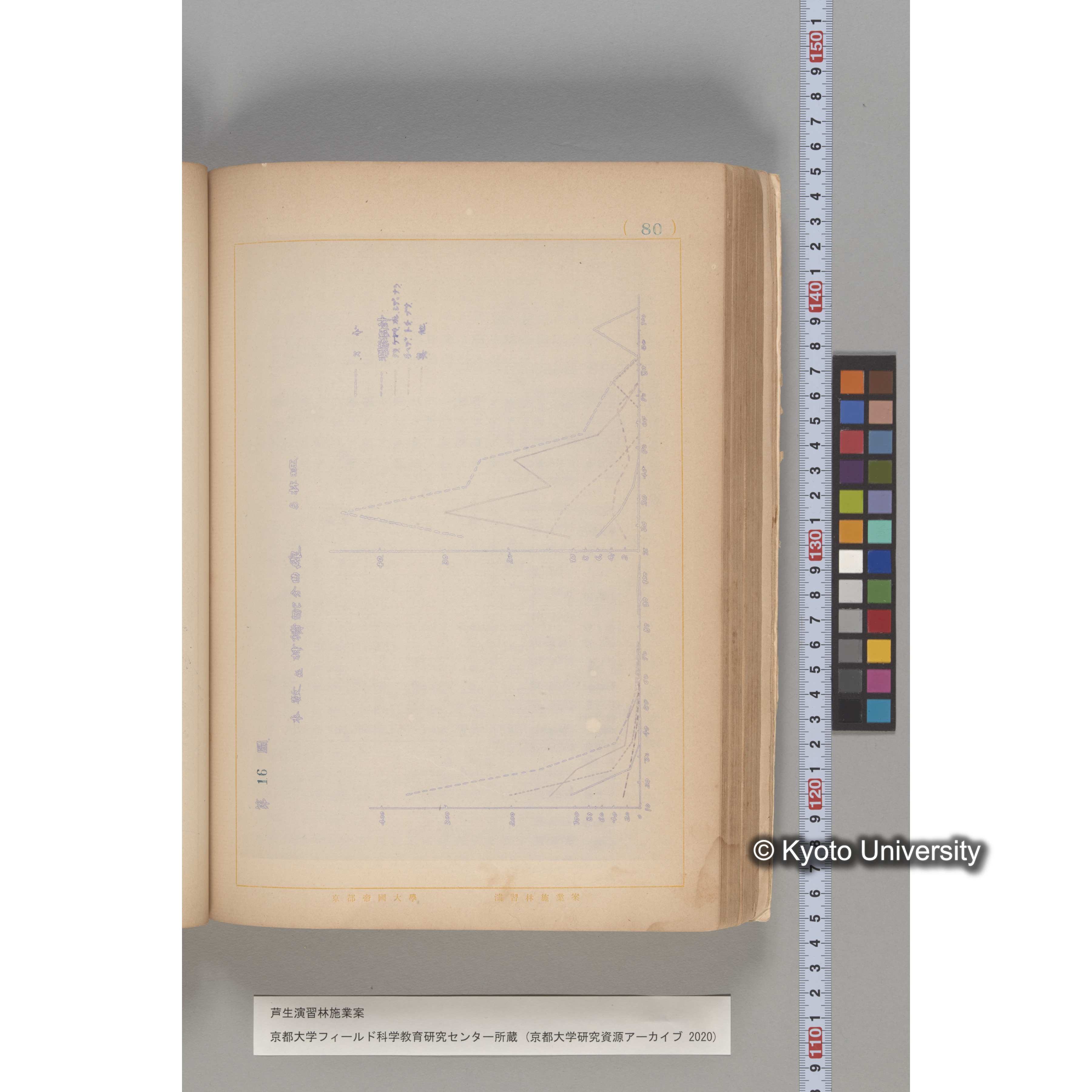 芦生演習林 施業案 実行期間 自昭和5年 至昭和14年. (80)