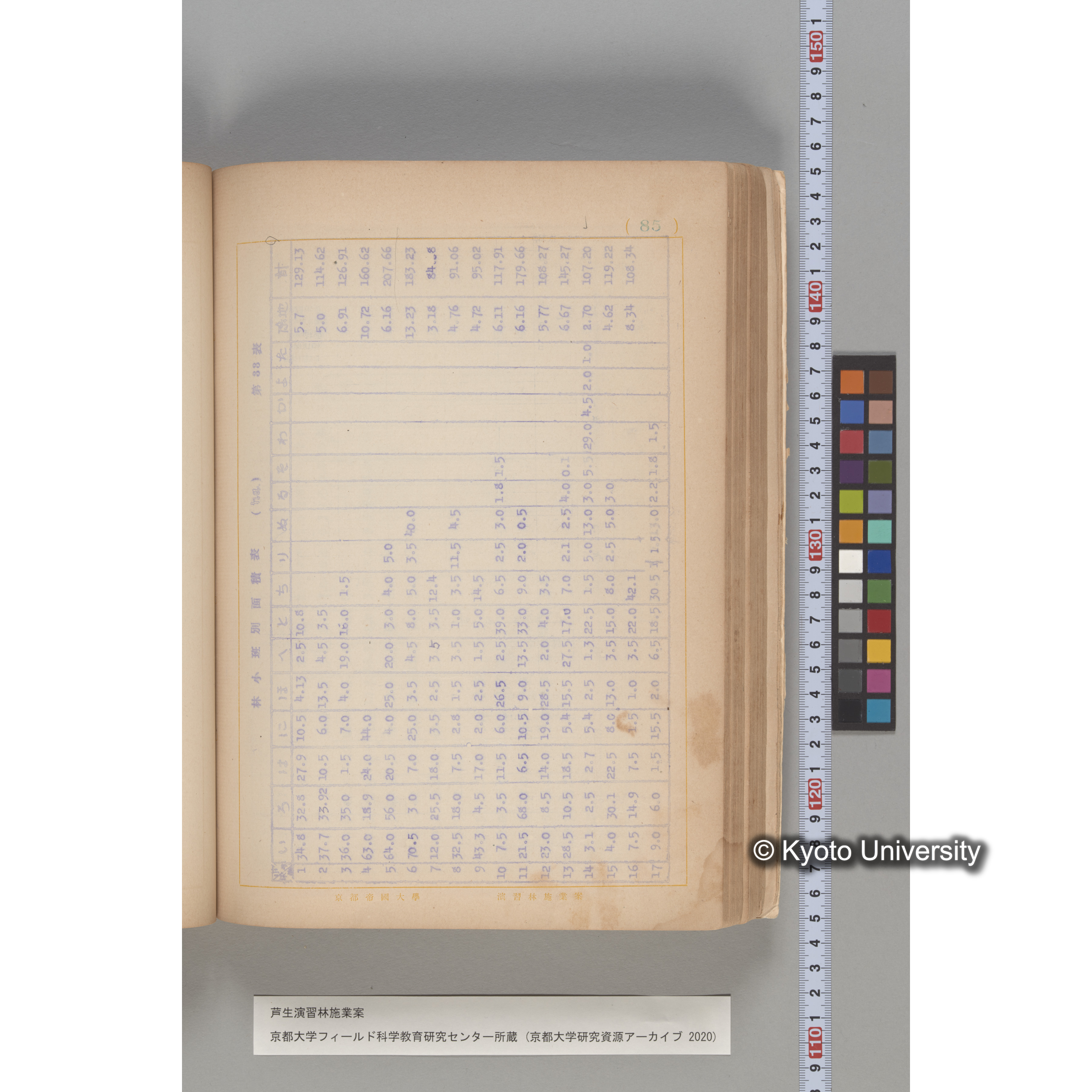 芦生演習林 施業案 実行期間 自昭和5年 至昭和14年. (85)