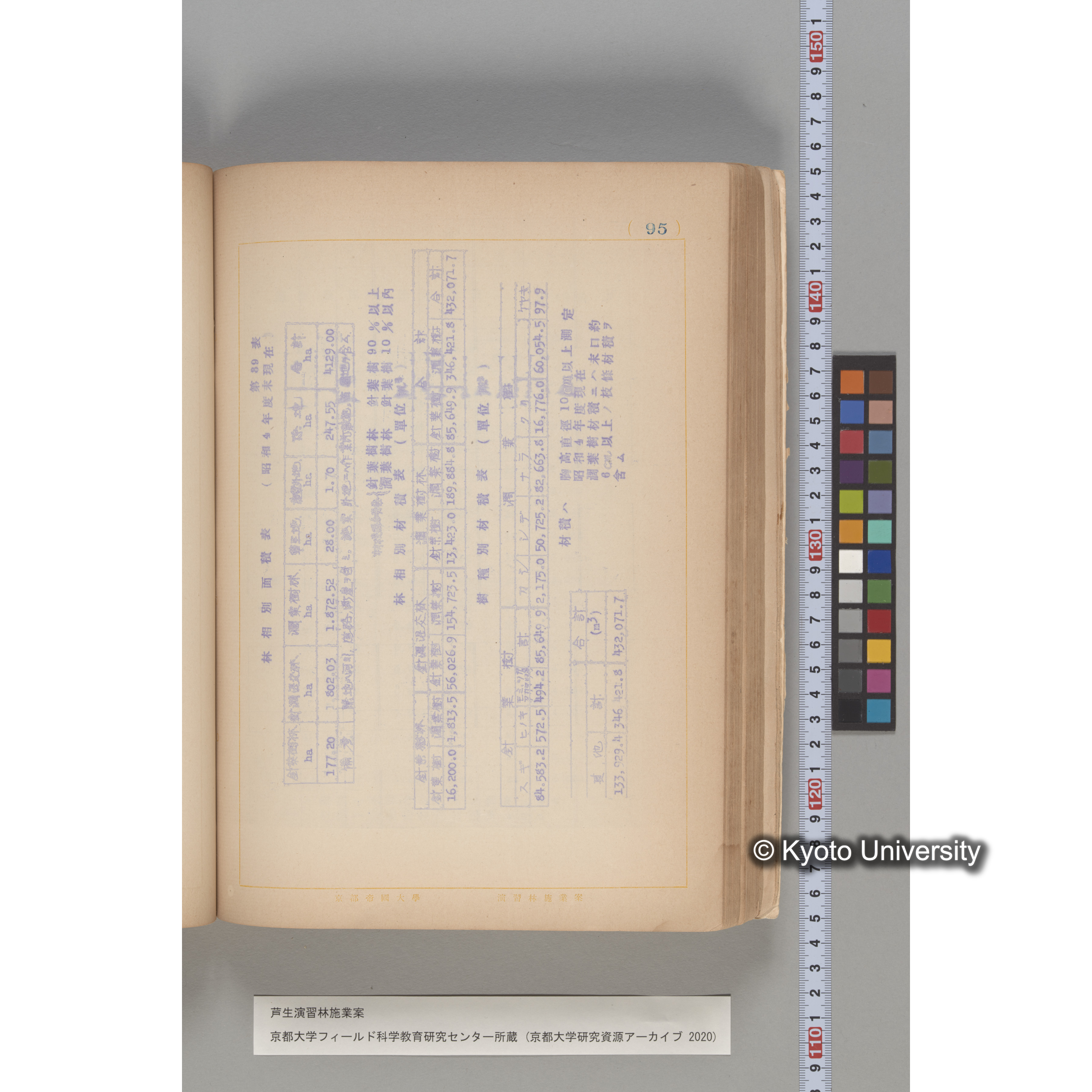 芦生演習林 施業案 実行期間 自昭和5年 至昭和14年. (95)