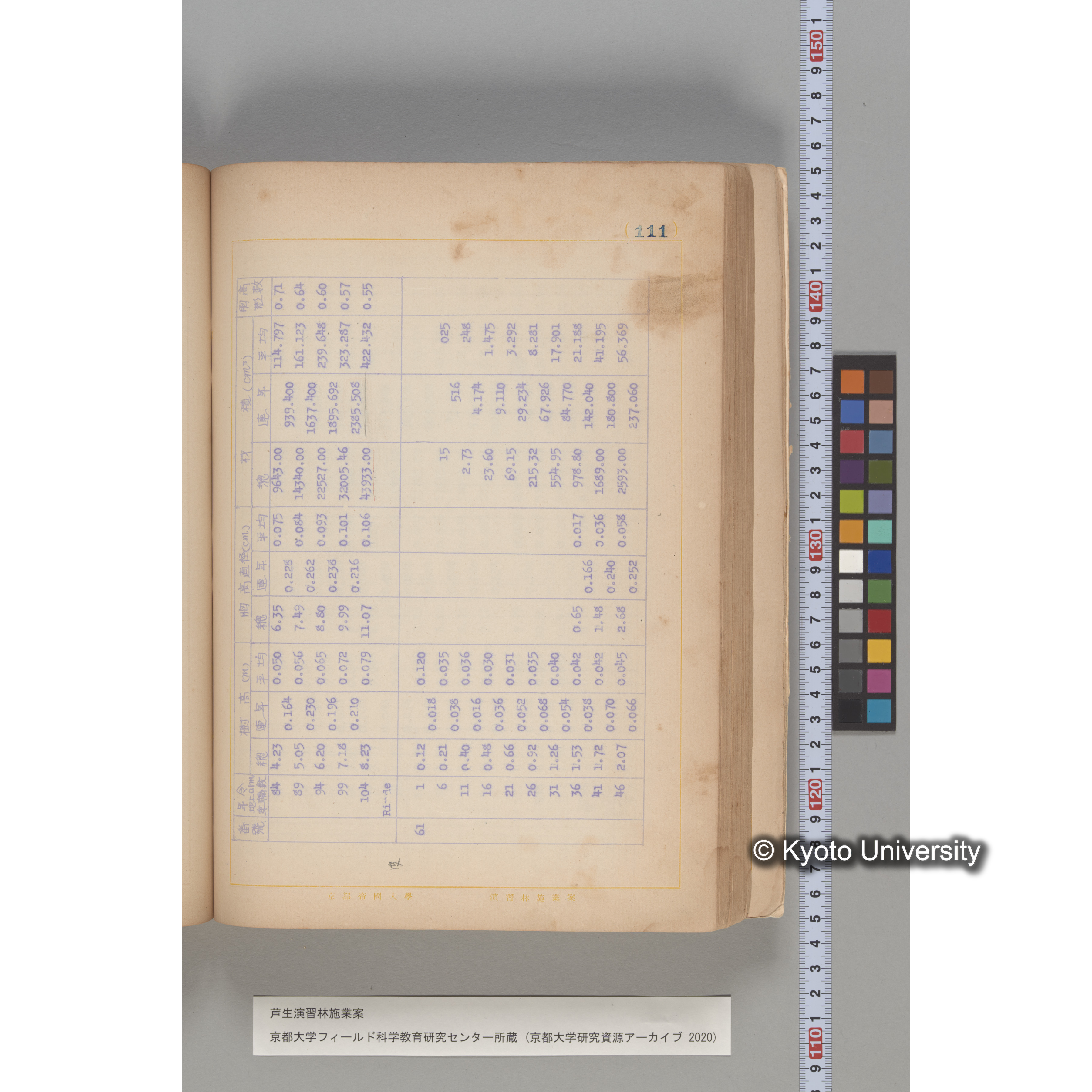 芦生演習林 施業案 実行期間 自昭和5年 至昭和14年. (111)