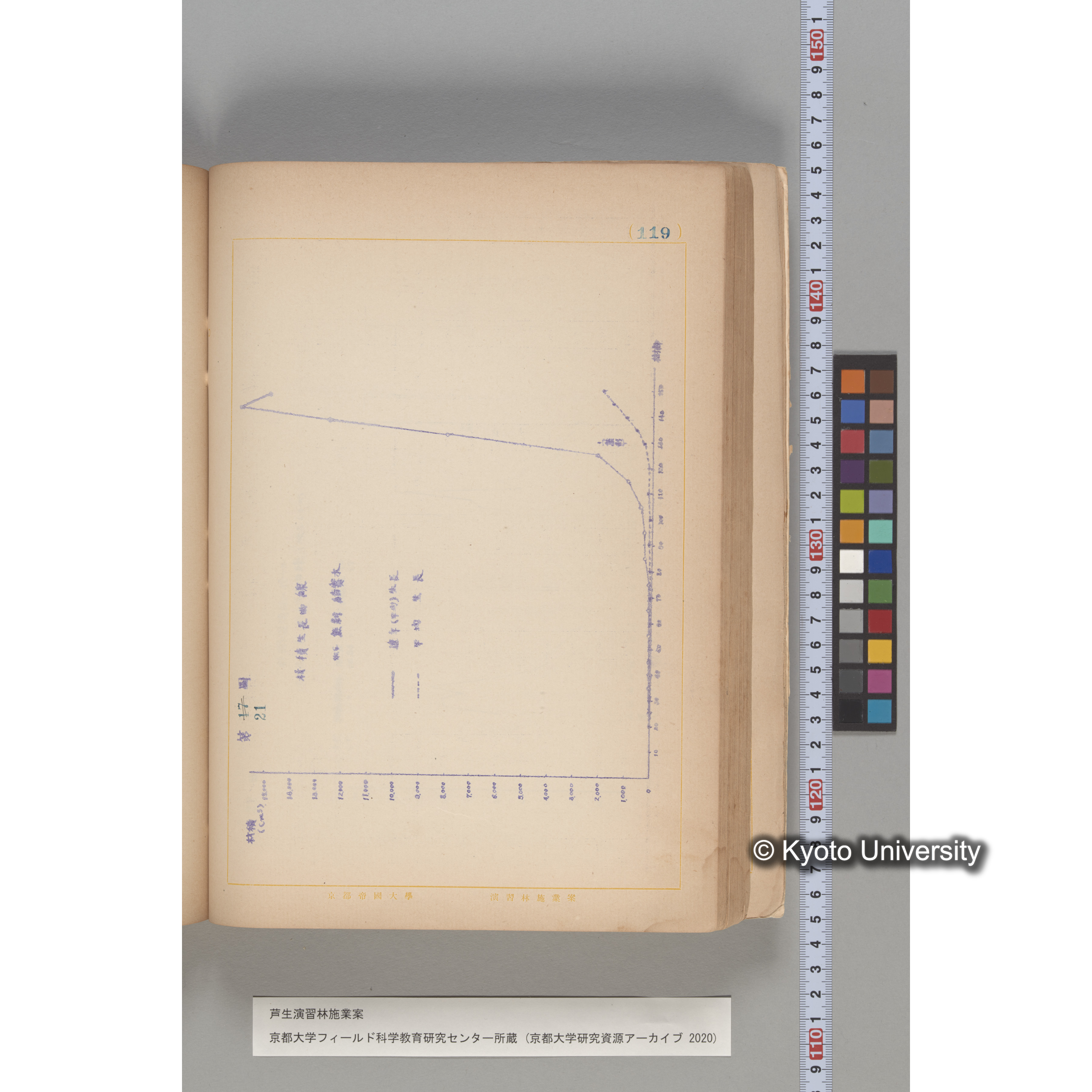 芦生演習林 施業案 実行期間 自昭和5年 至昭和14年. (119)
