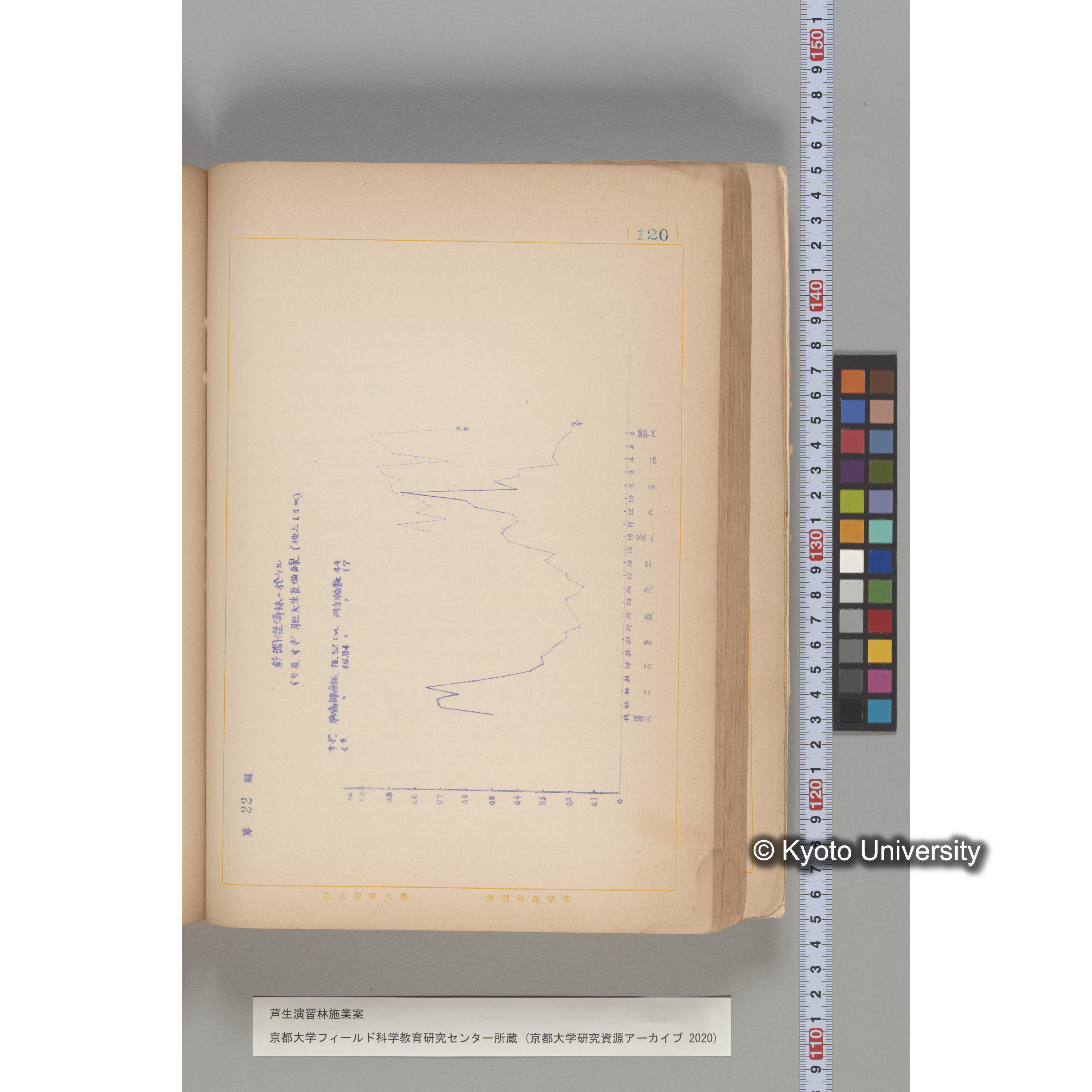 芦生演習林 施業案 実行期間 自昭和5年 至昭和14年. (120)