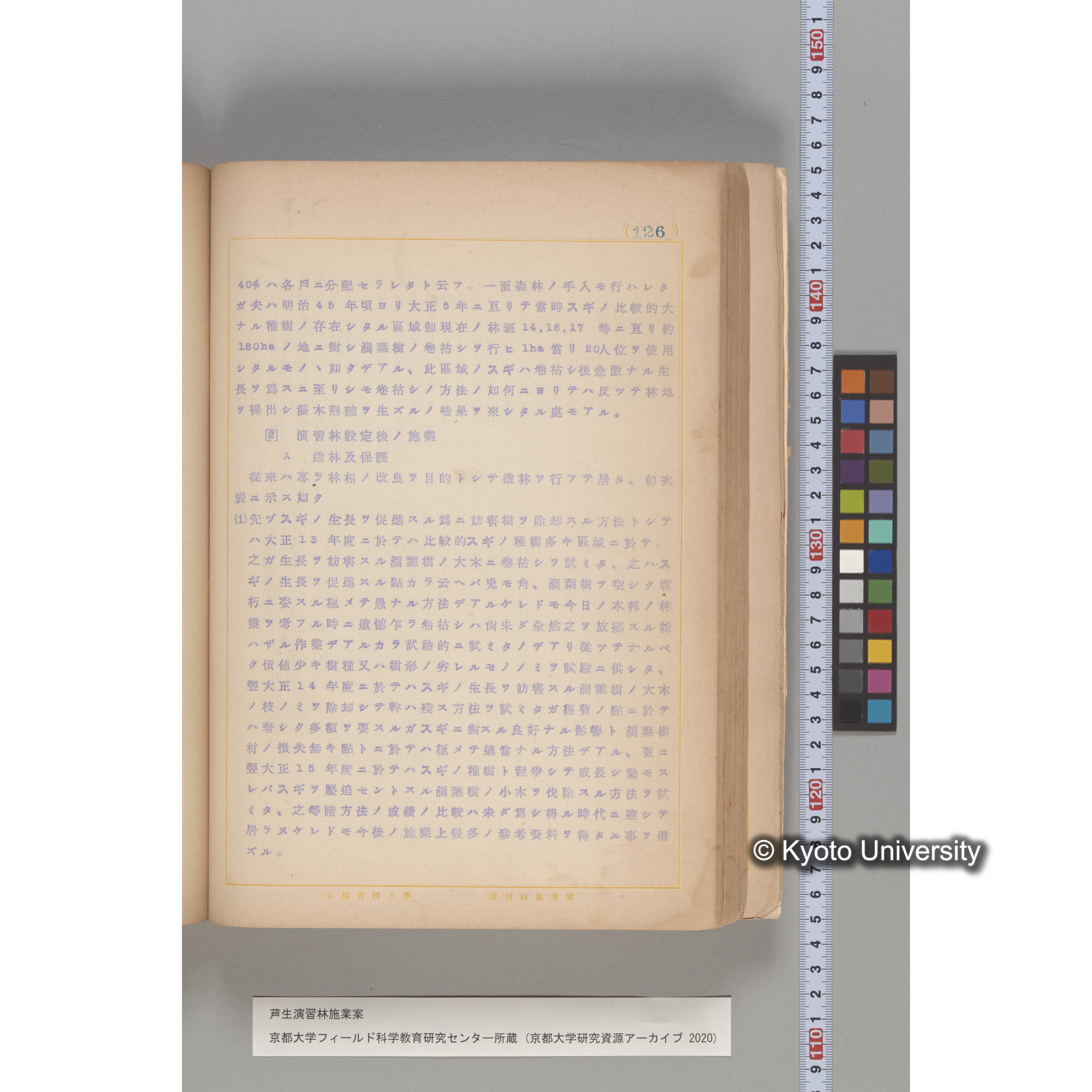 芦生演習林 施業案 実行期間 自昭和5年 至昭和14年. (126)