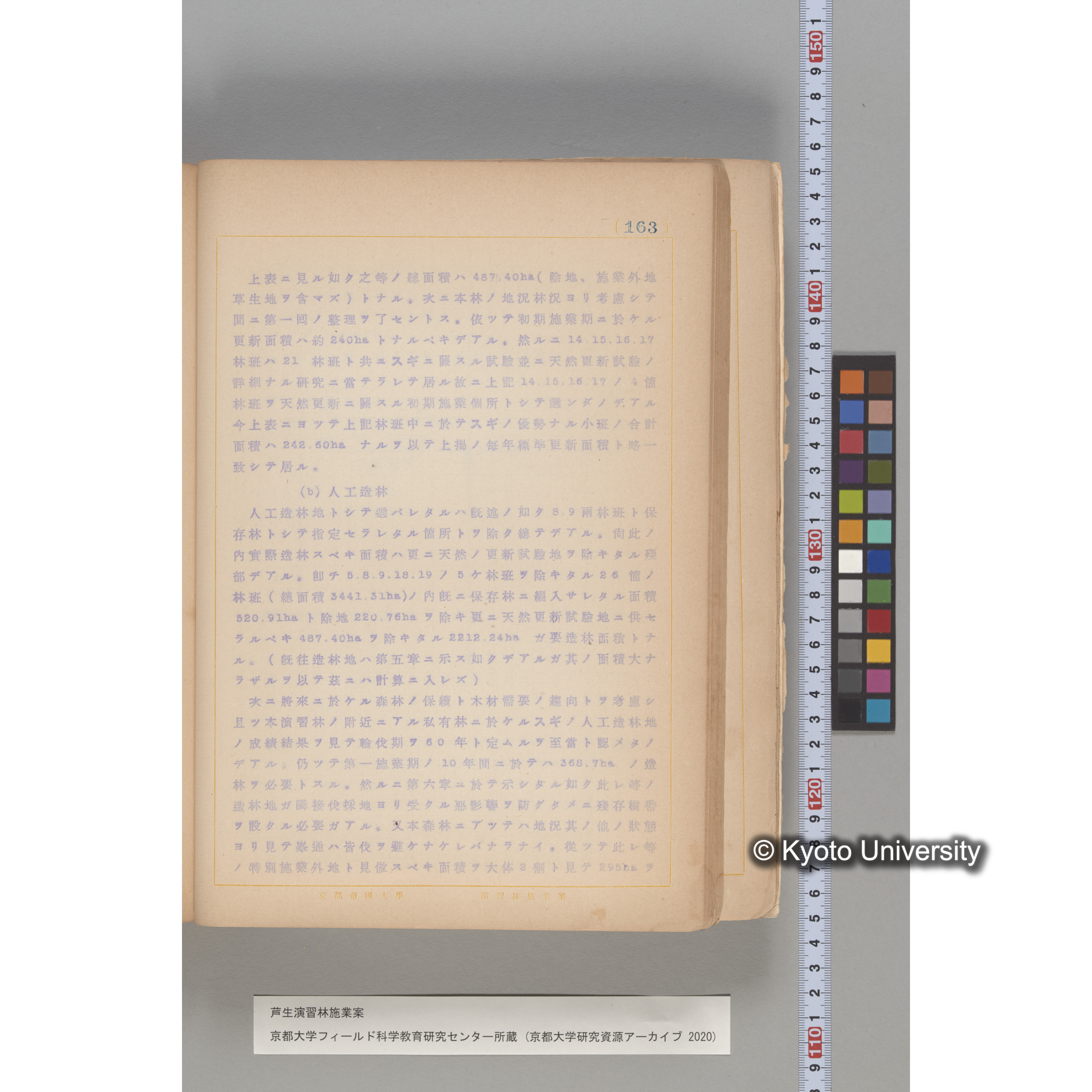 芦生演習林 施業案 実行期間 自昭和5年 至昭和14年. (163)