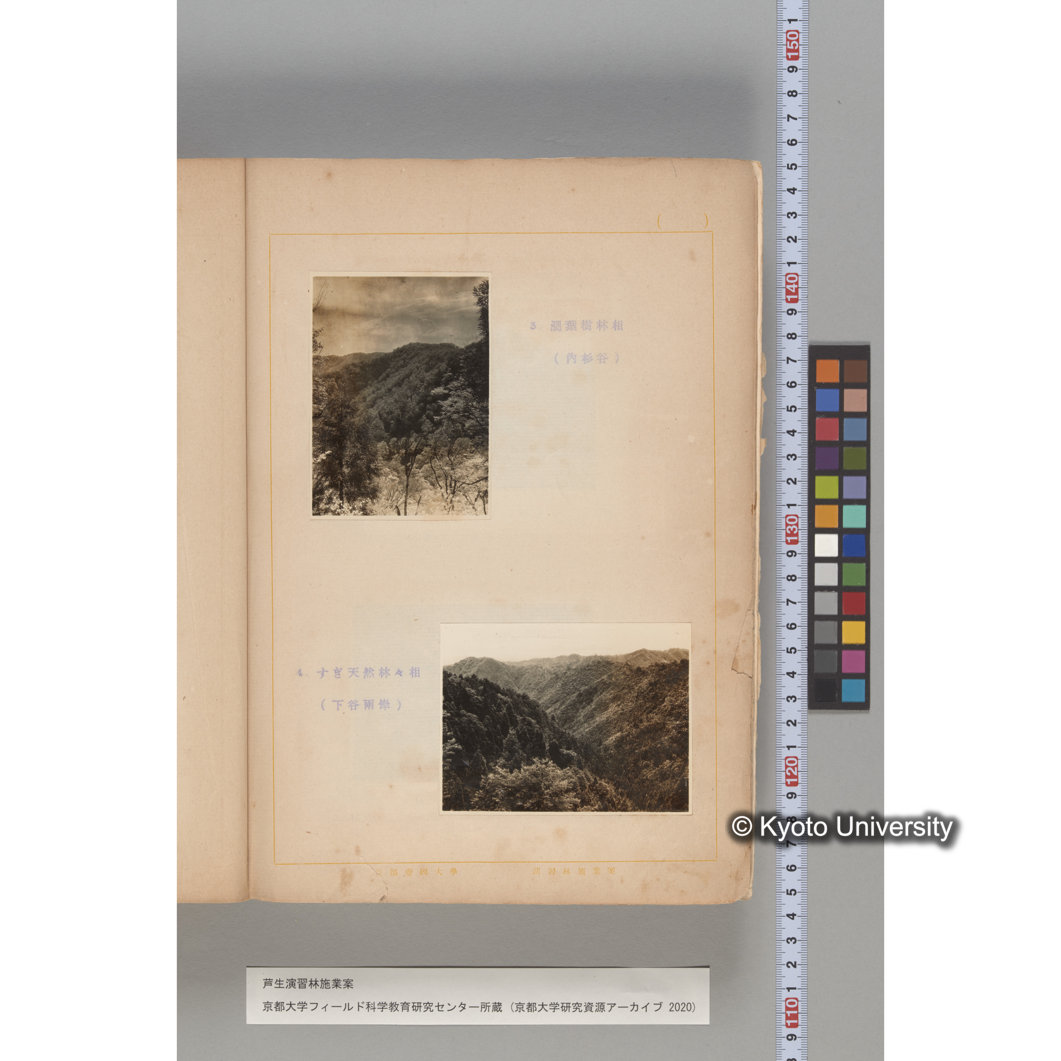 芦生演習林 施業案 実行期間 自昭和5年 至昭和14年. (192)