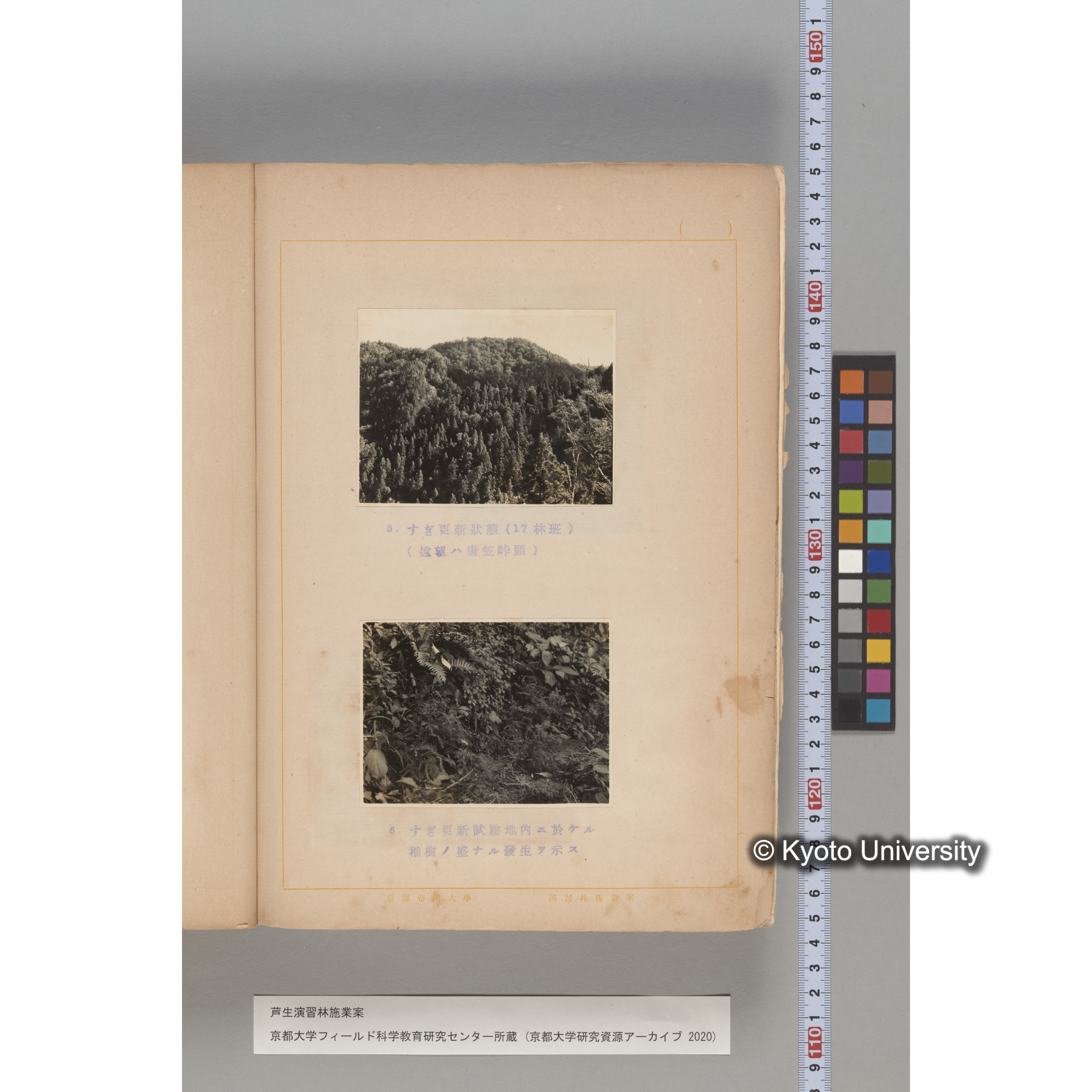 芦生演習林 施業案 実行期間 自昭和5年 至昭和14年. (193)