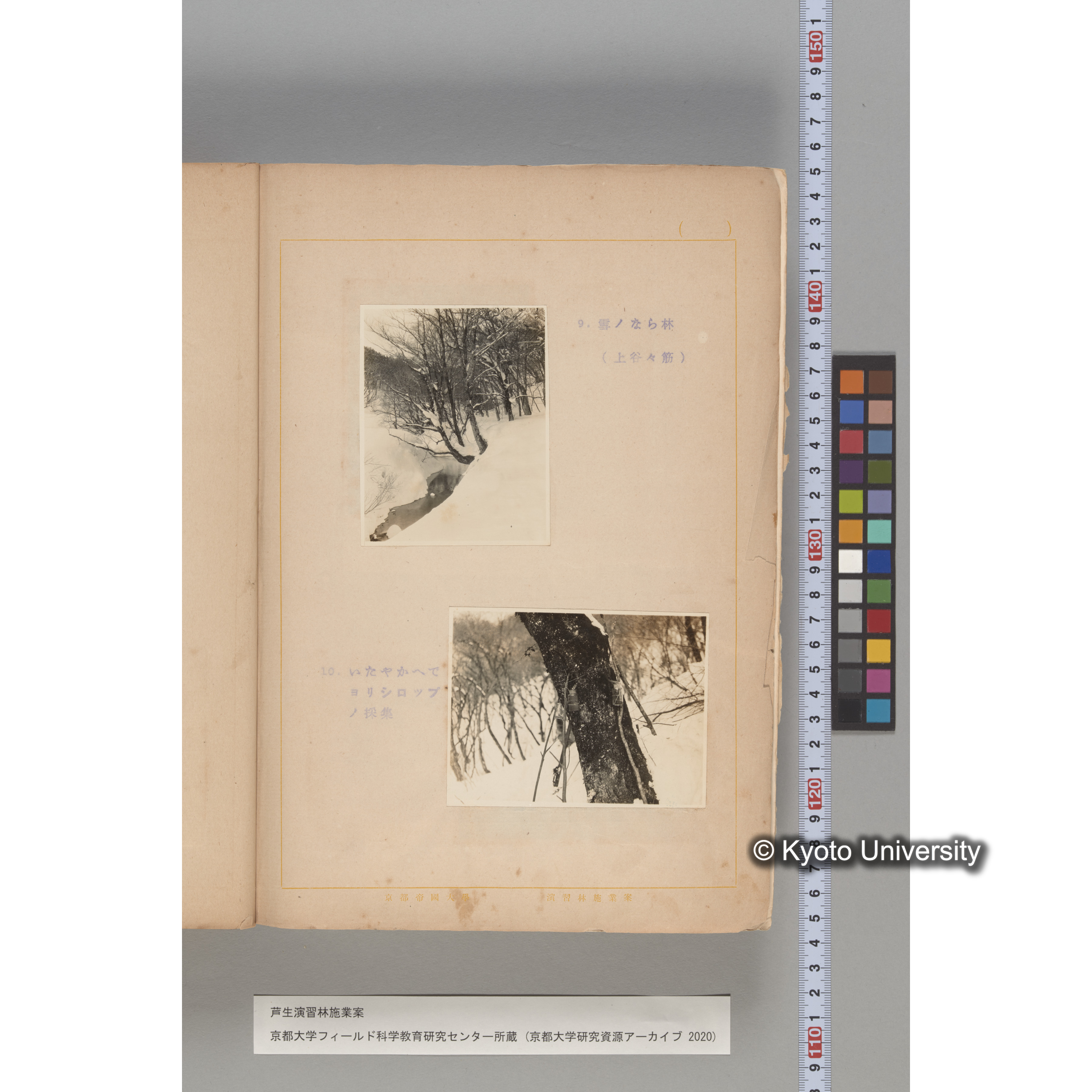 芦生演習林 施業案 実行期間 自昭和5年 至昭和14年. (195)