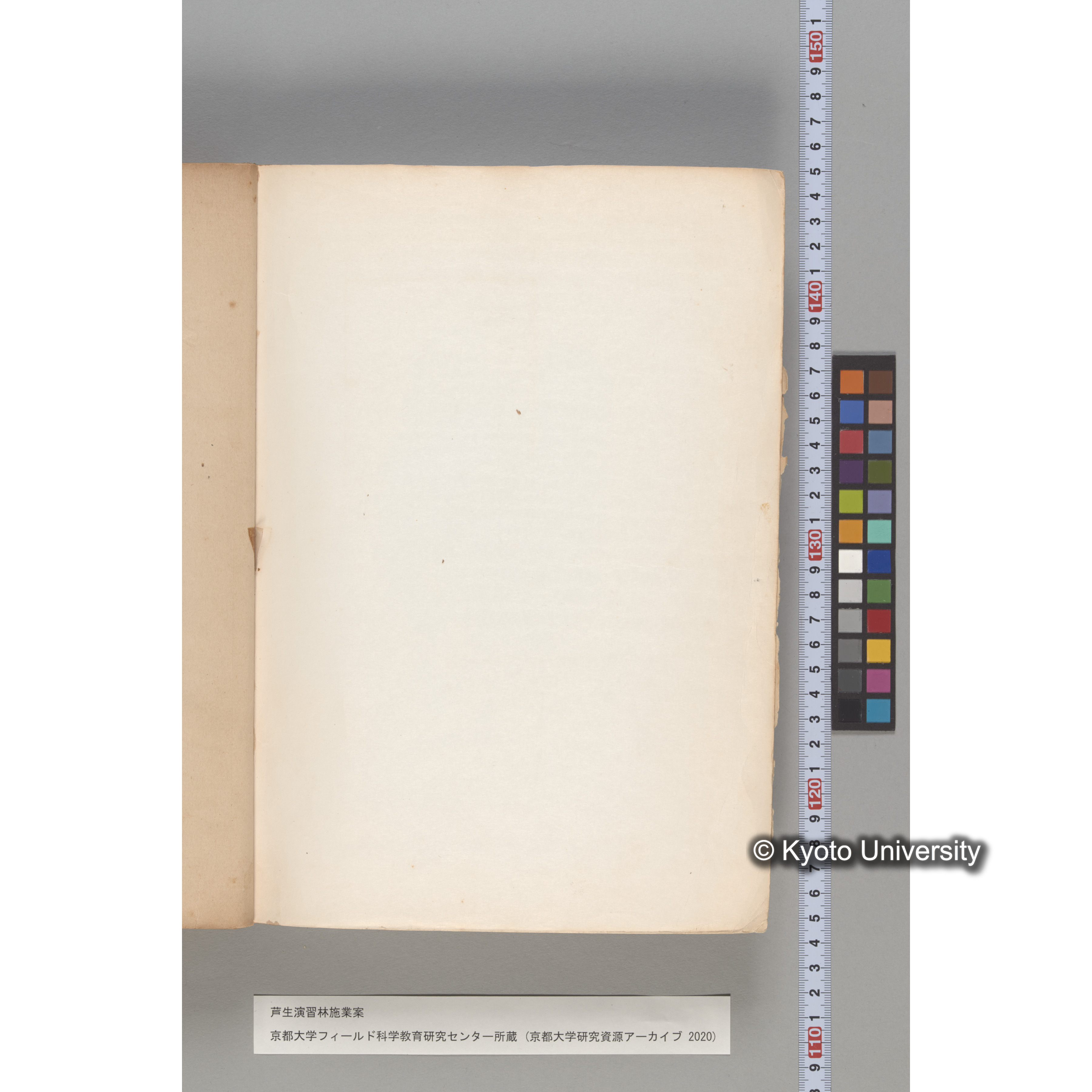 芦生演習林 施業案 実行期間 自昭和5年 至昭和14年. (196)