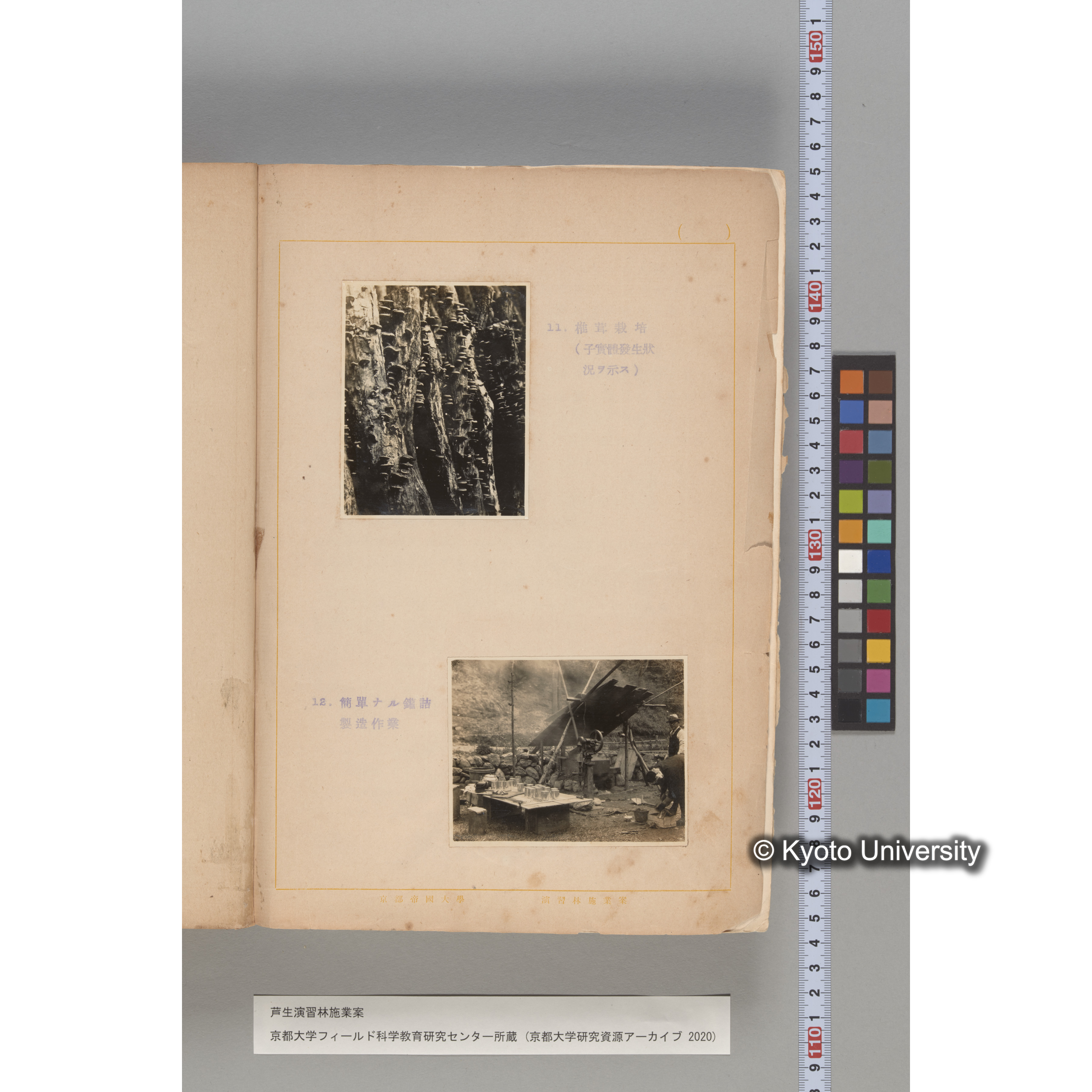 芦生演習林 施業案 実行期間 自昭和5年 至昭和14年. (197)