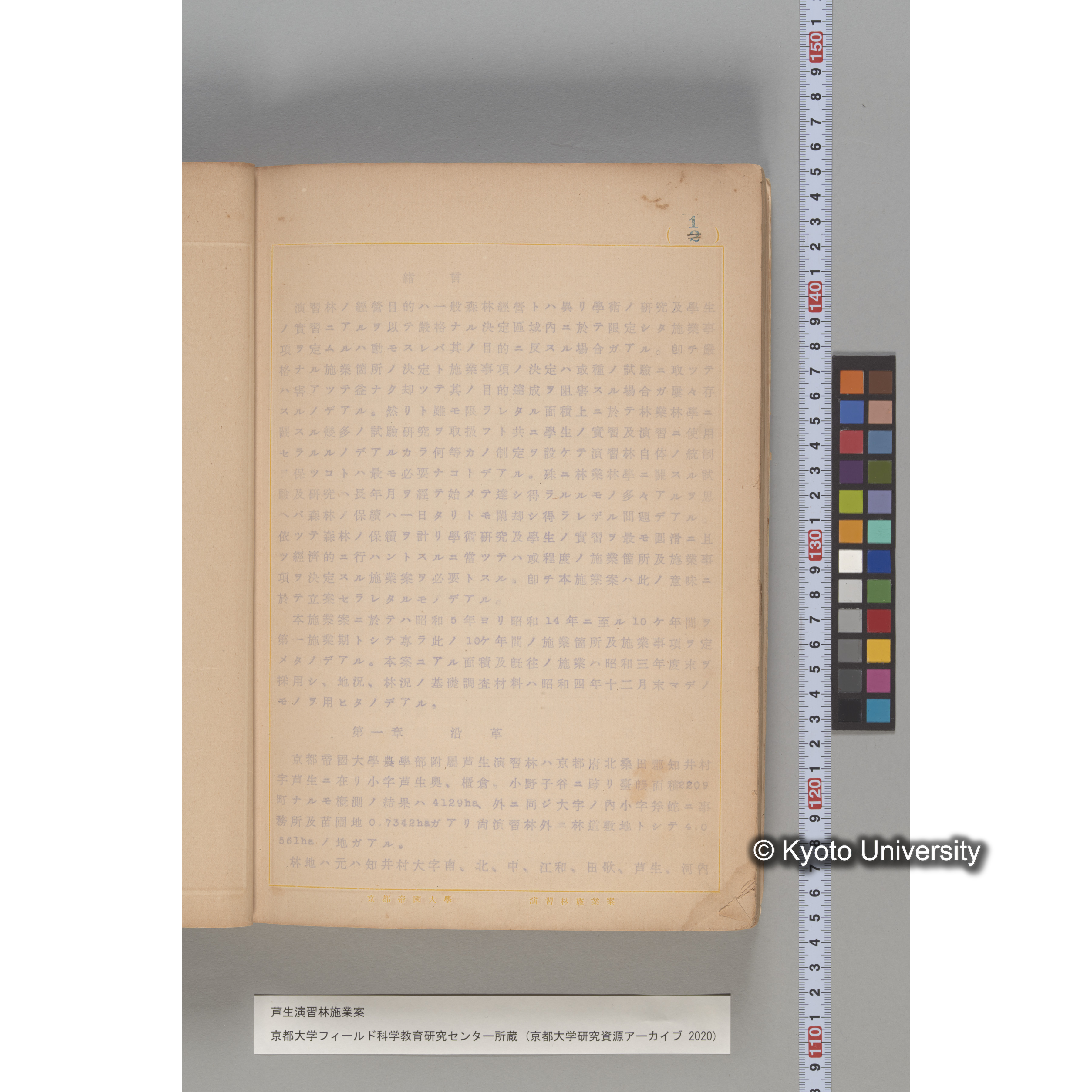 芦生演習林 施業案 実行期間 自昭和5年 至昭和14年. (206)