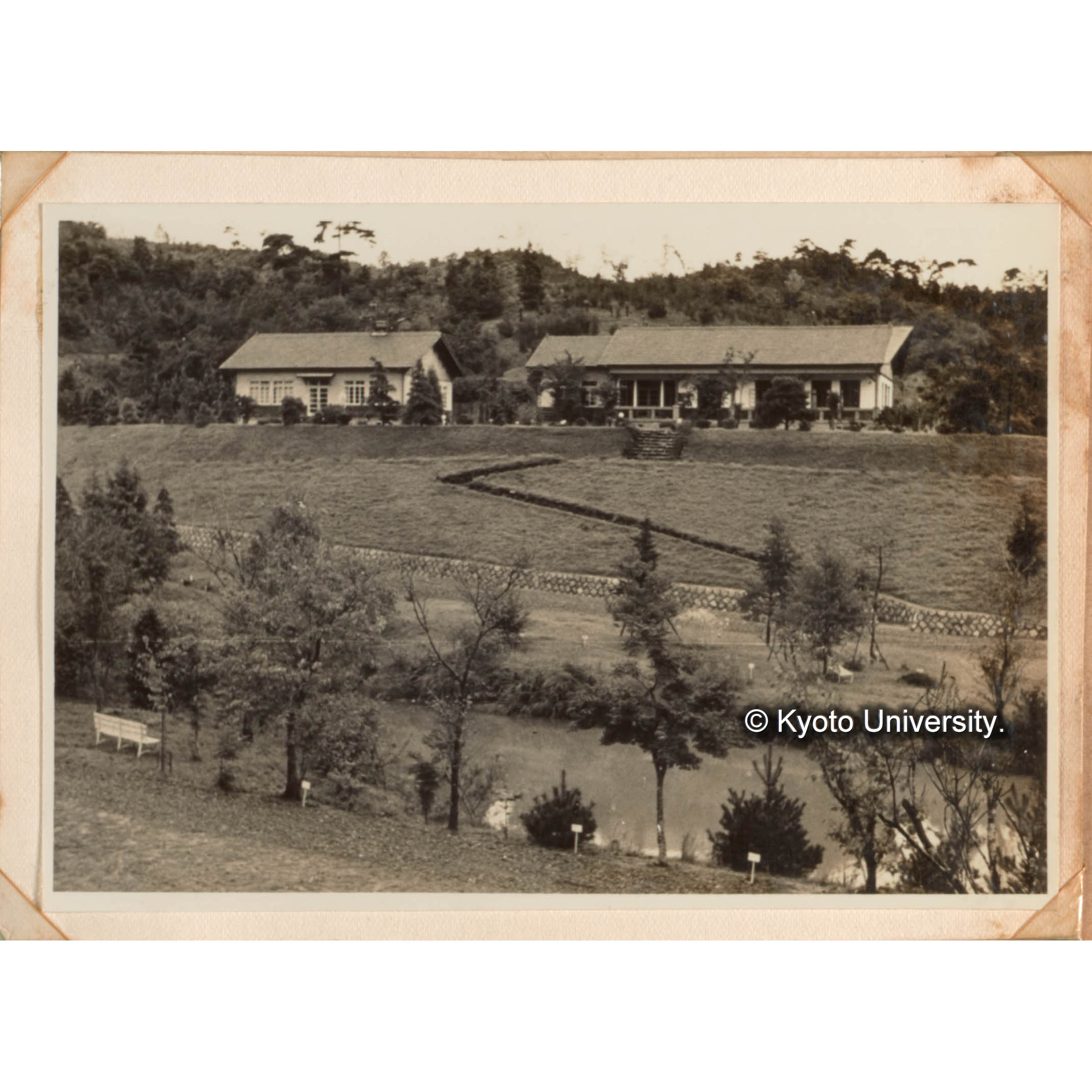 （上の別アングル） (1)