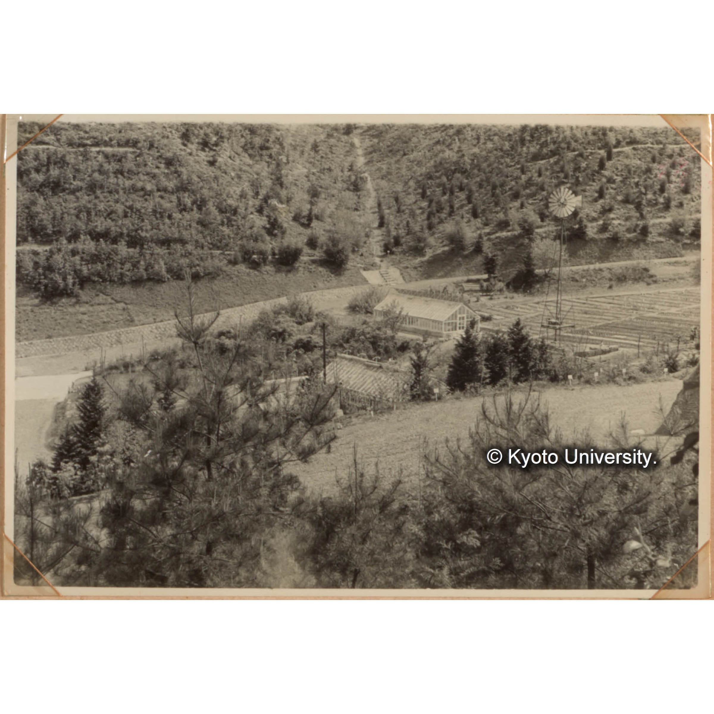 林木育種研究用硝子室と実験苗畑 (1)