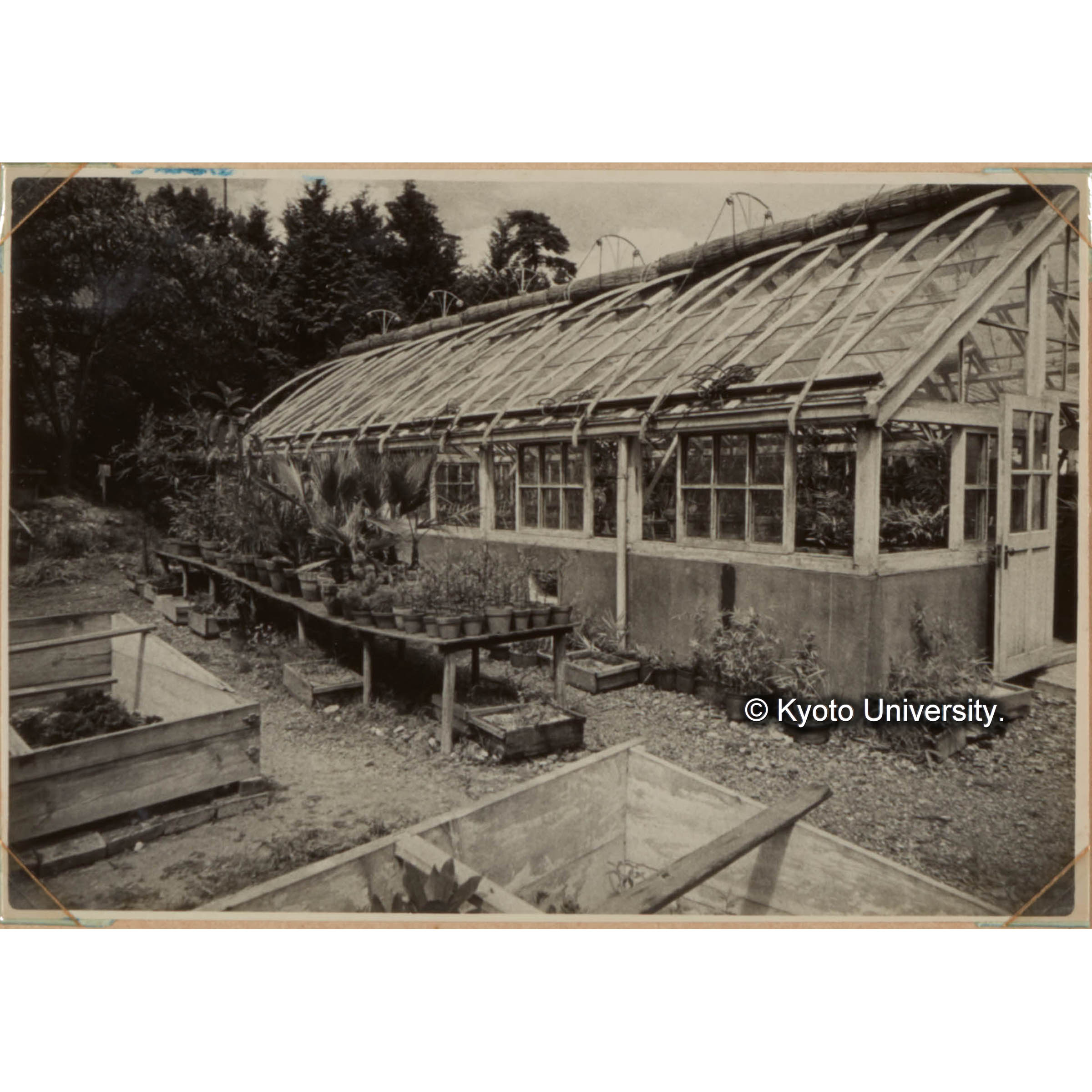 （硝子室外から） (1)