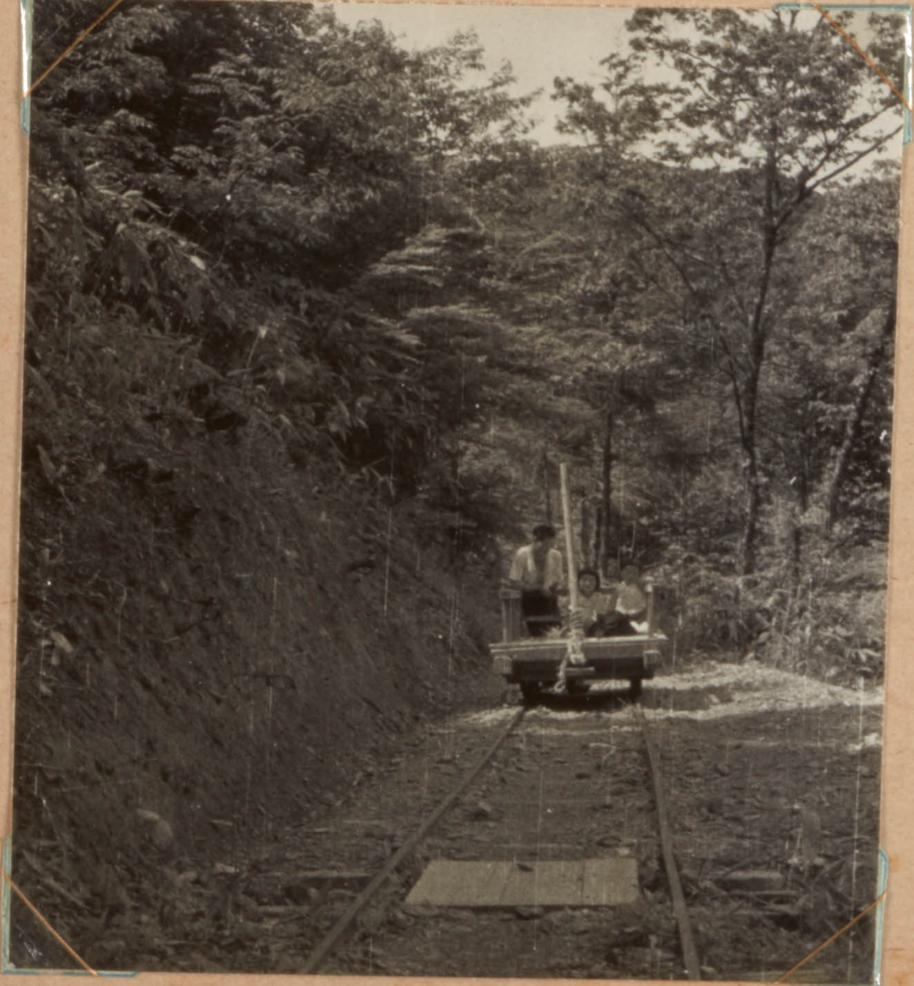 赤崎苗畑附近 (1)