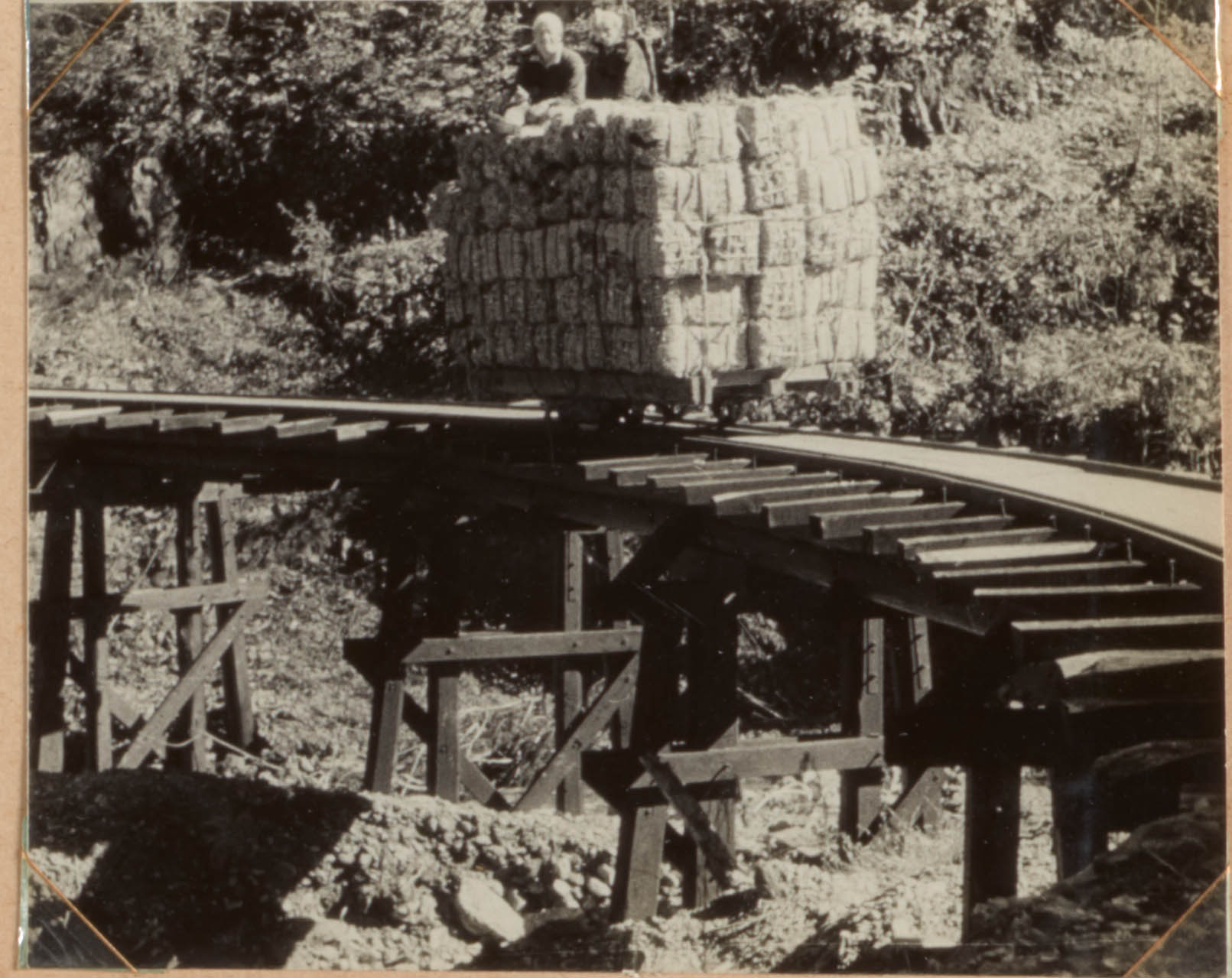 森林軌道、赤崎谷附近 (1)