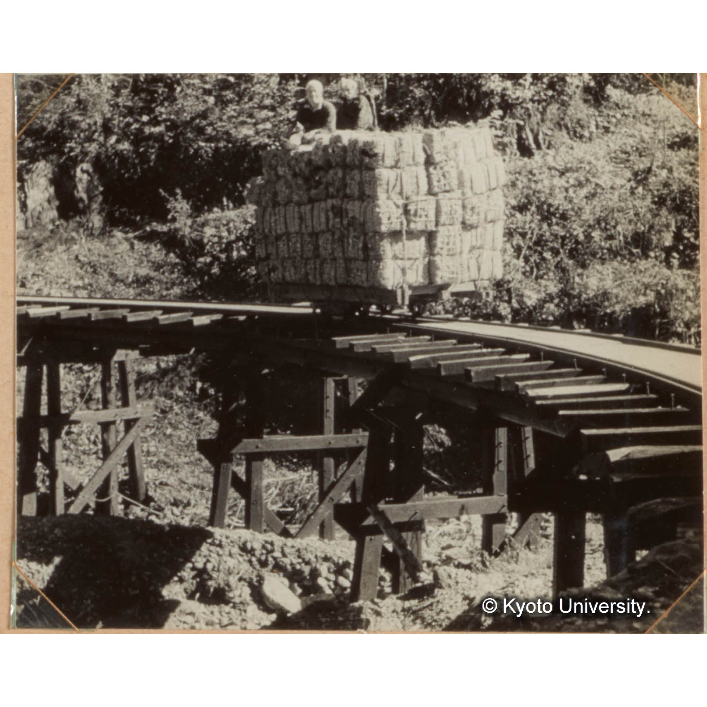 森林軌道、赤崎谷附近 (2)