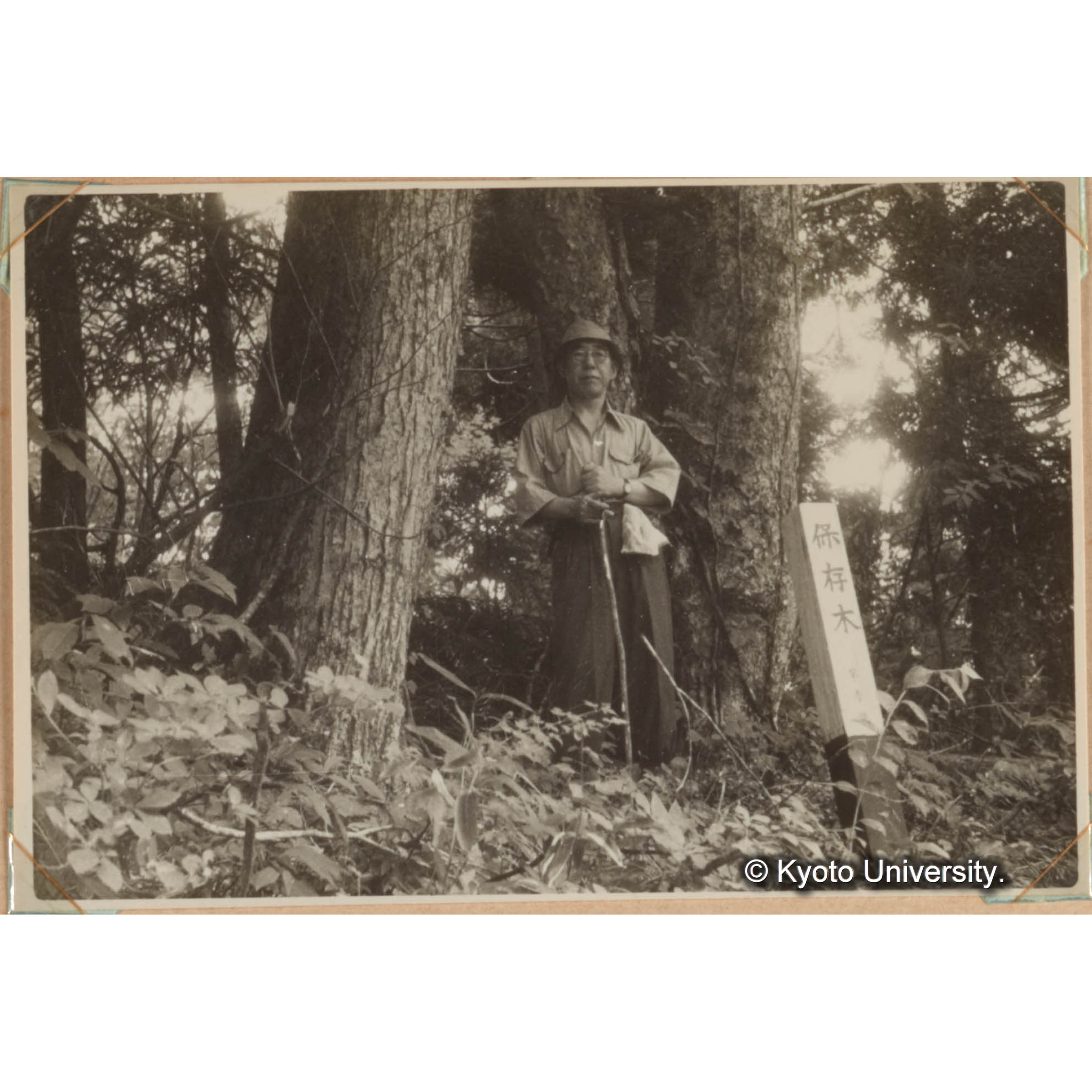 瀧川總長巡察（欅坂上　連理のミヅナラの下にて） (1)