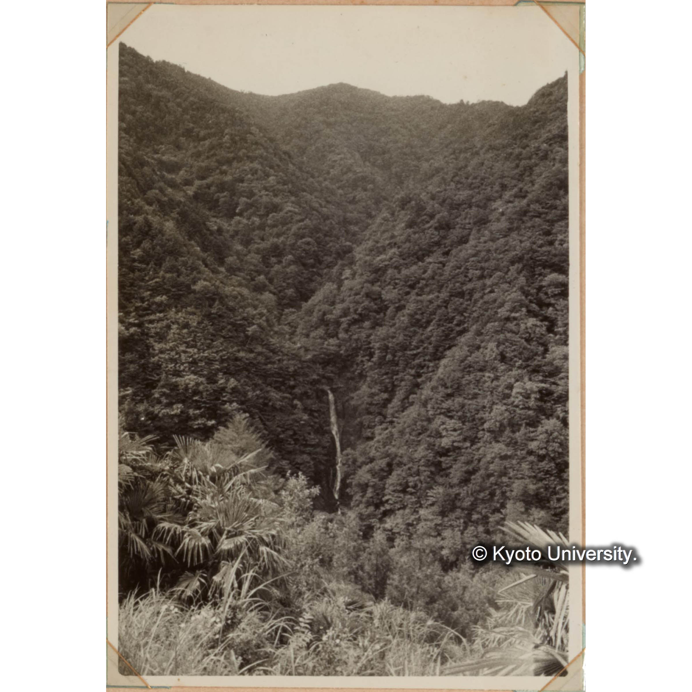 （山間の滝） (1)