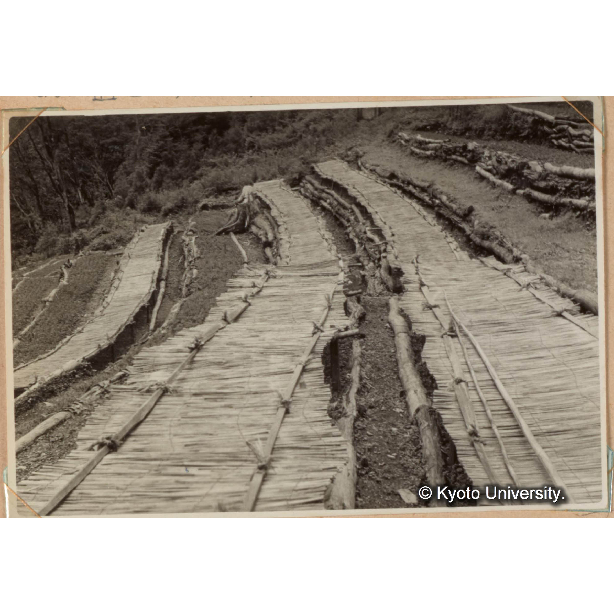 八幡谷苗畑　緩斜地を求めてこのように段々畑とするのであるが、適地が少なく、開墾に多額の労費を要する。 (1)