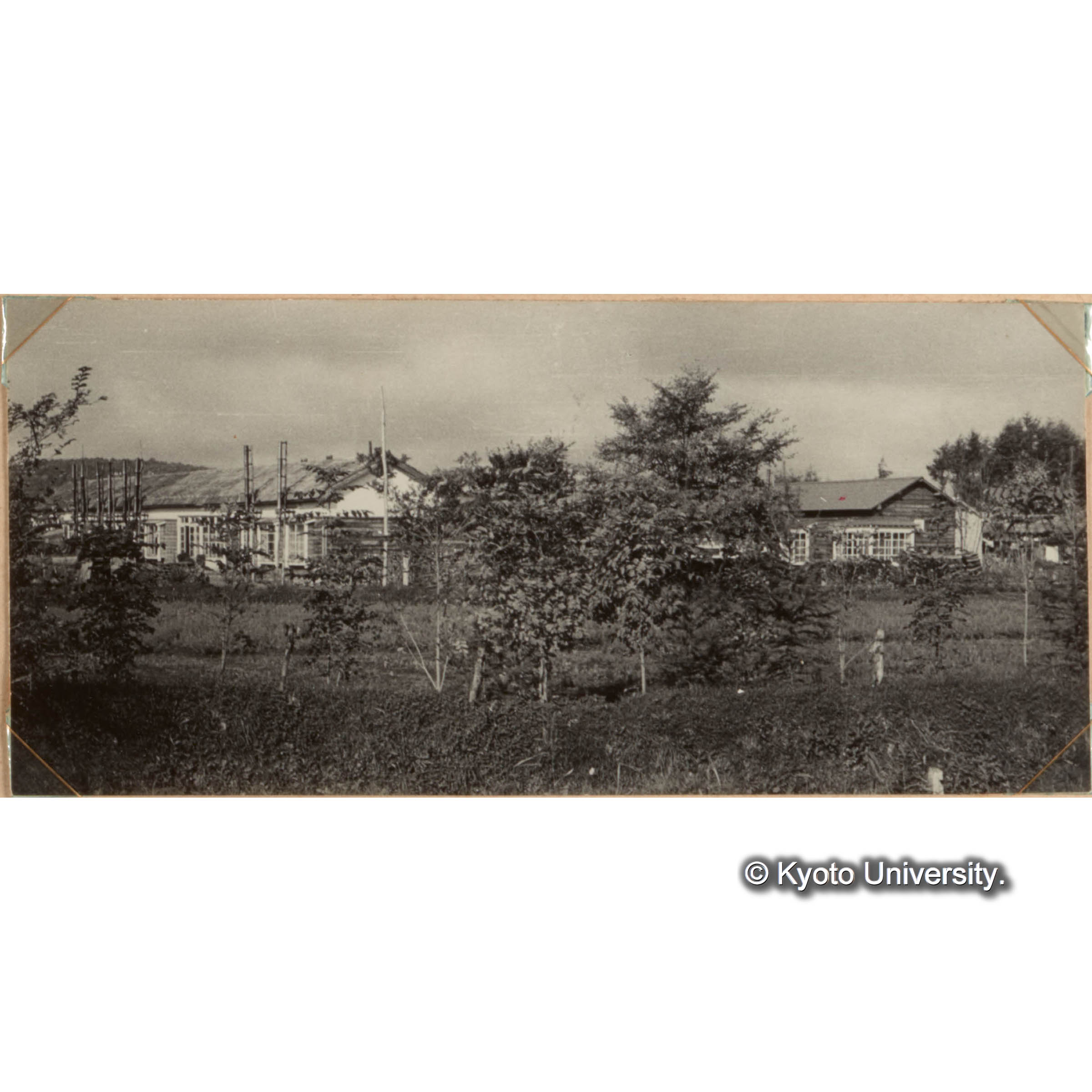 北海道演習林事務所全景　構内の一部を見本園として内外の樹種をあつめている。 (1)