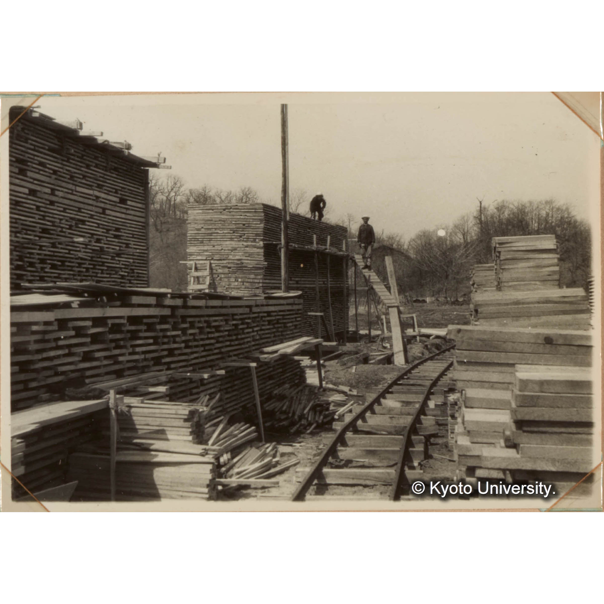 直営製材の製品　本演には大径木中に腐朽材や不良形質のものが多いので経営研究の一つとして直営造材・製材を行い利用率を高め、製品価値を向上させるようにつとめている。 (1)