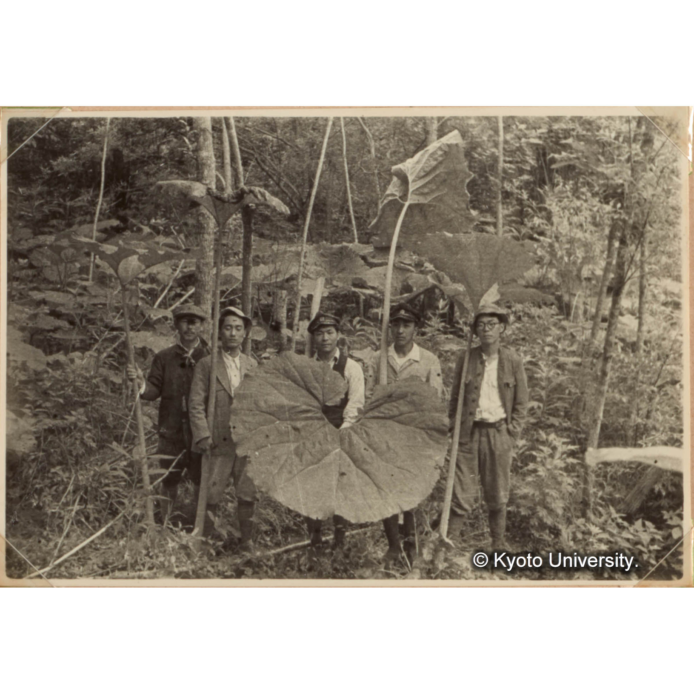 （大きな蓮の葉を持って集合写真） (1)