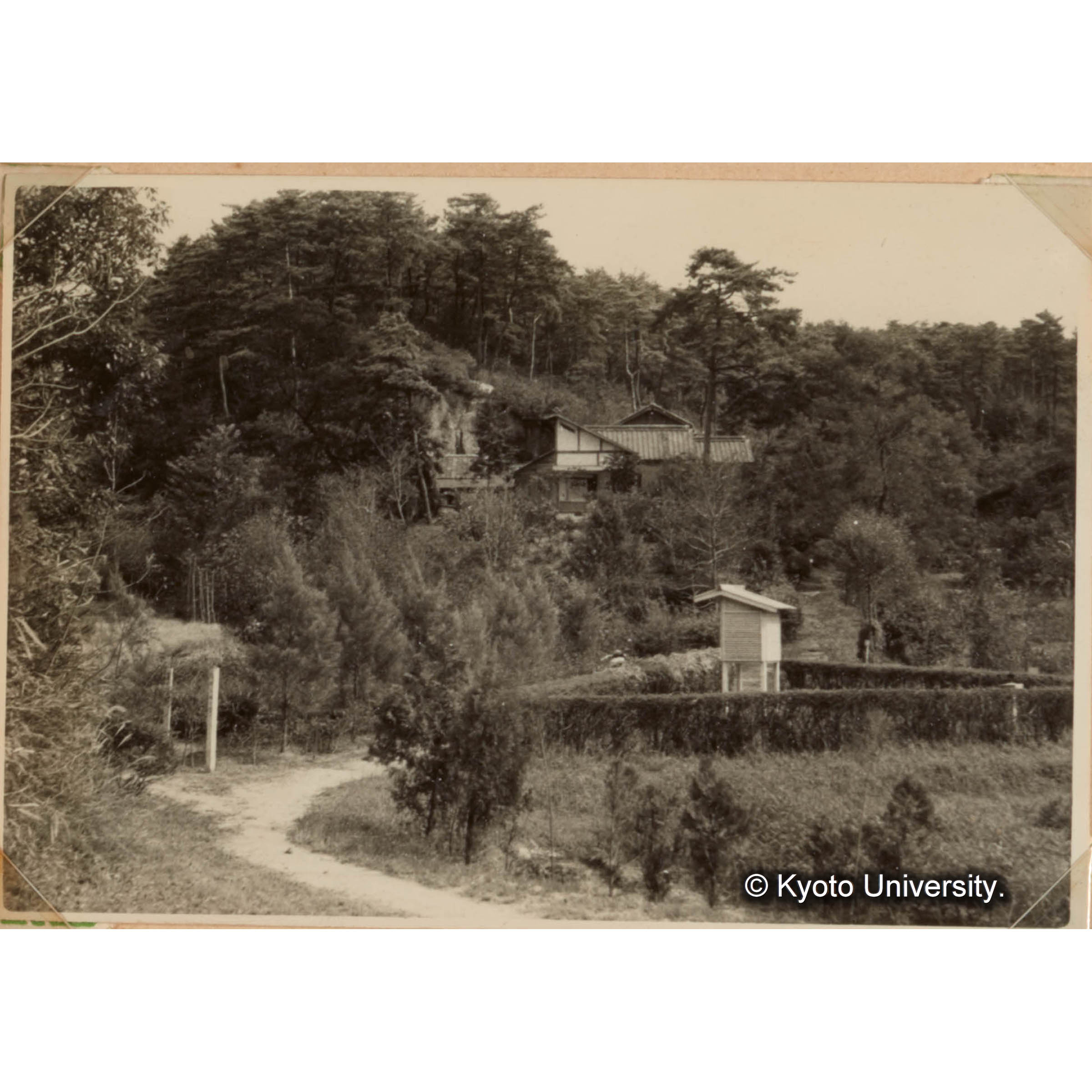 徳山試験地見本林と事務所　徳山市の郊外にあり見本林は約3ha、300種の樹種があつめられている。 (1)