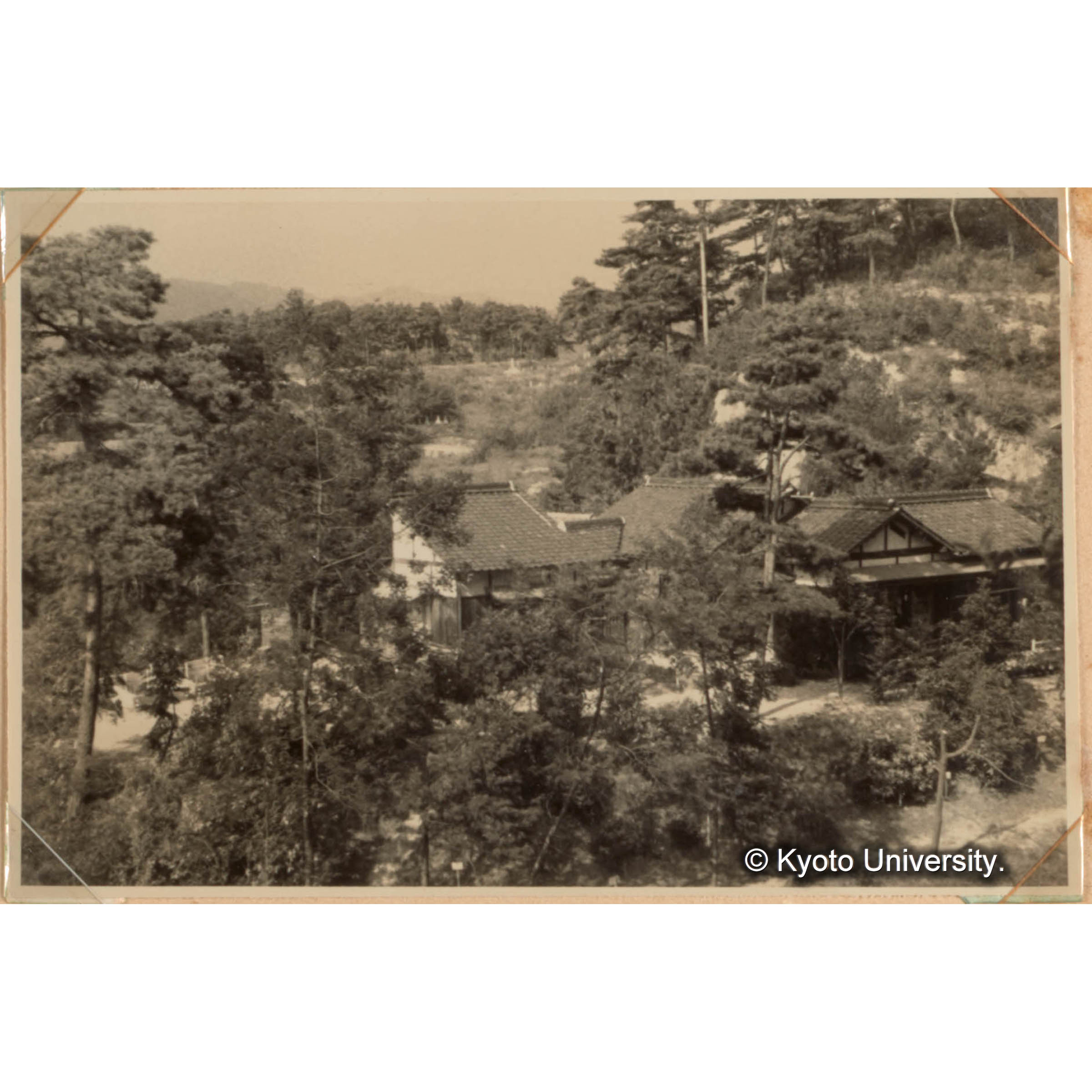 徳山試験地見本林と事務所 (3) (1)