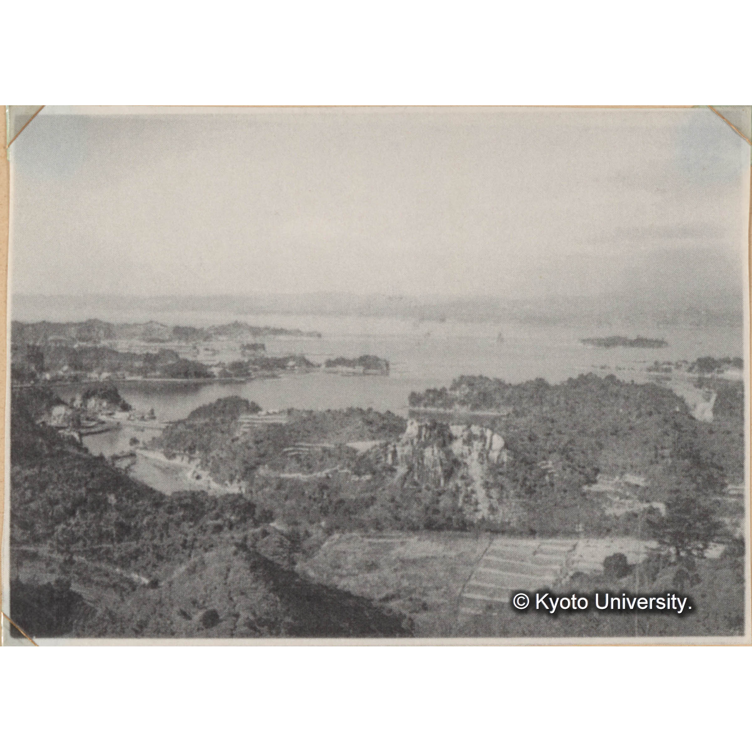 京都大學白浜試驗地 ＜30＞ (1)